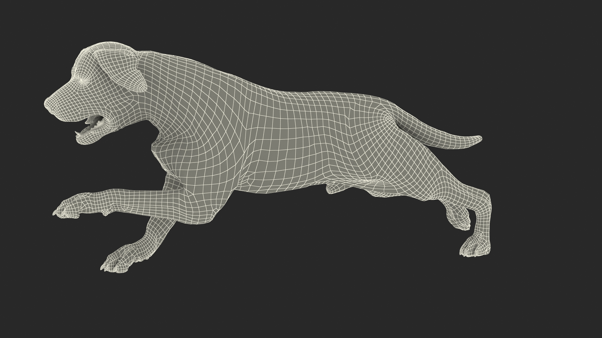 3D model Running White Retriever Dog Fur Animated Rigged for Maya https://p.turbosquid.com/ts-thumb/Kj/SOqCb7/4m/running_white_retriever_dog_fur_animated_rigged_361/jpg/1755129901/1920x1080/turn_fit_q99/71d6de54b67d9c96096eb2a7e85b304405d969c5/running_white_retriever_dog_fur_animated_rigged_361-1.jpg