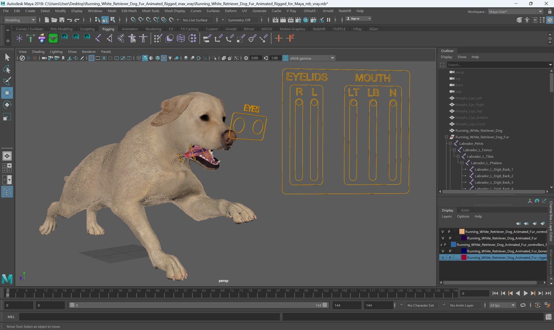 3D model Running White Retriever Dog Fur Animated Rigged for Maya https://p.turbosquid.com/ts-thumb/Kj/SOqCb7/Bb/running_white_retriever_dog_fur_animated_rigged_for_maya_003/jpg/1755130086/1920x1080/fit_q87/0090237e38d3b4a1c6919f0b333a22b5b23299e4/running_white_retriever_dog_fur_animated_rigged_for_maya_003.jpg