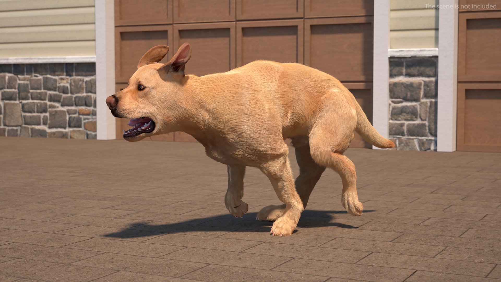 3D model Running White Retriever Dog Fur Animated Rigged for Maya https://p.turbosquid.com/ts-thumb/Kj/SOqCb7/CQ/running_white_retriever_dog_fur_animated_rigged_005/jpg/1755130099/1920x1080/fit_q87/41192b03442a3e3674983c111dd7fe4c029fe195/running_white_retriever_dog_fur_animated_rigged_005.jpg