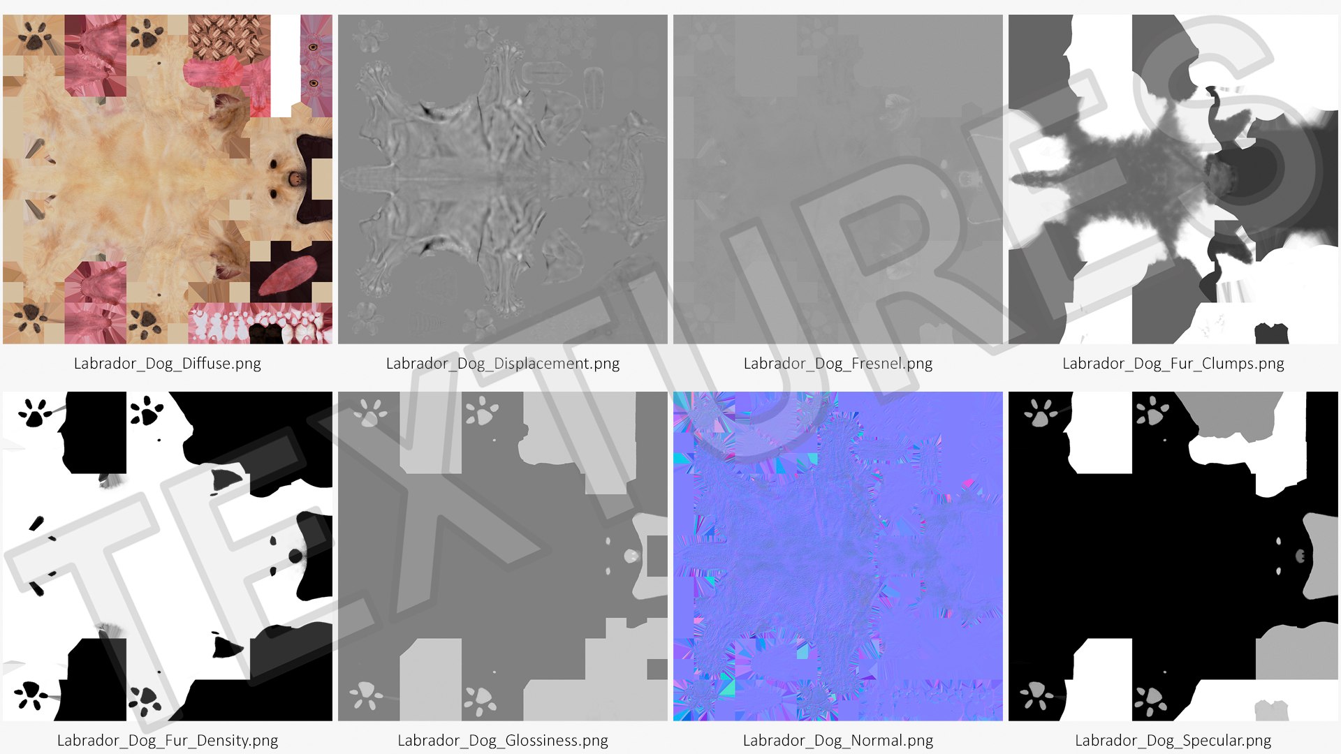 3D model Running White Retriever Dog Fur Animated Rigged for Maya https://p.turbosquid.com/ts-thumb/Kj/SOqCb7/Ju/running_white_retriever_dog_fur_animated_rigged_019/jpg/1755130170/1920x1080/fit_q87/138f0434cd71b2111843c8e96e4226a7dbc882a6/running_white_retriever_dog_fur_animated_rigged_019.jpg