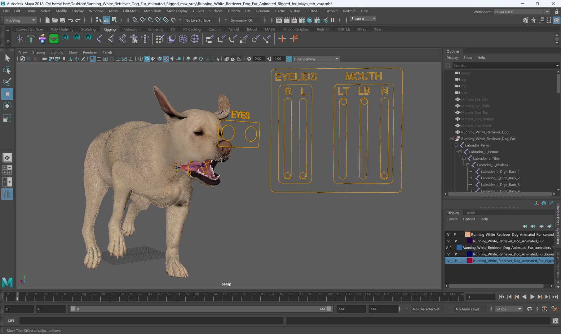 3D model Running White Retriever Dog Fur Animated Rigged for Maya https://p.turbosquid.com/ts-thumb/Kj/SOqCb7/hl/running_white_retriever_dog_fur_animated_rigged_for_maya_007/jpg/1755130118/1920x1080/fit_q87/0a5b69a2c748c13245187c72ca518c68cddfcbea/running_white_retriever_dog_fur_animated_rigged_for_maya_007.jpg