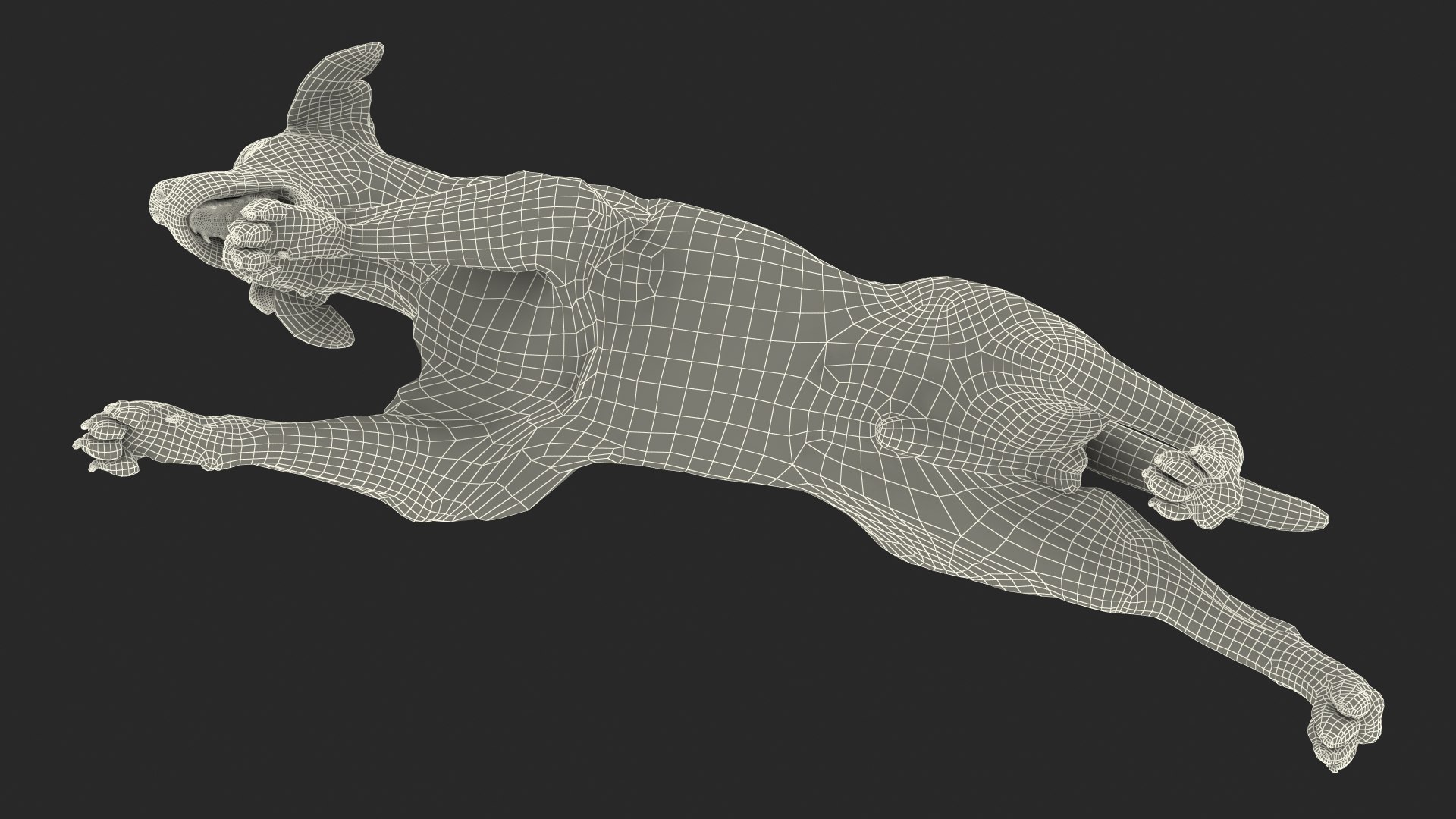 3D model Running White Retriever Dog Fur Animated Rigged for Maya https://p.turbosquid.com/ts-thumb/Kj/SOqCb7/oF/running_white_retriever_dog_fur_animated_rigged_024/jpg/1755130188/1920x1080/fit_q87/6a53846b69a5bdb3a6bc19dbb707ebe398081697/running_white_retriever_dog_fur_animated_rigged_024.jpg