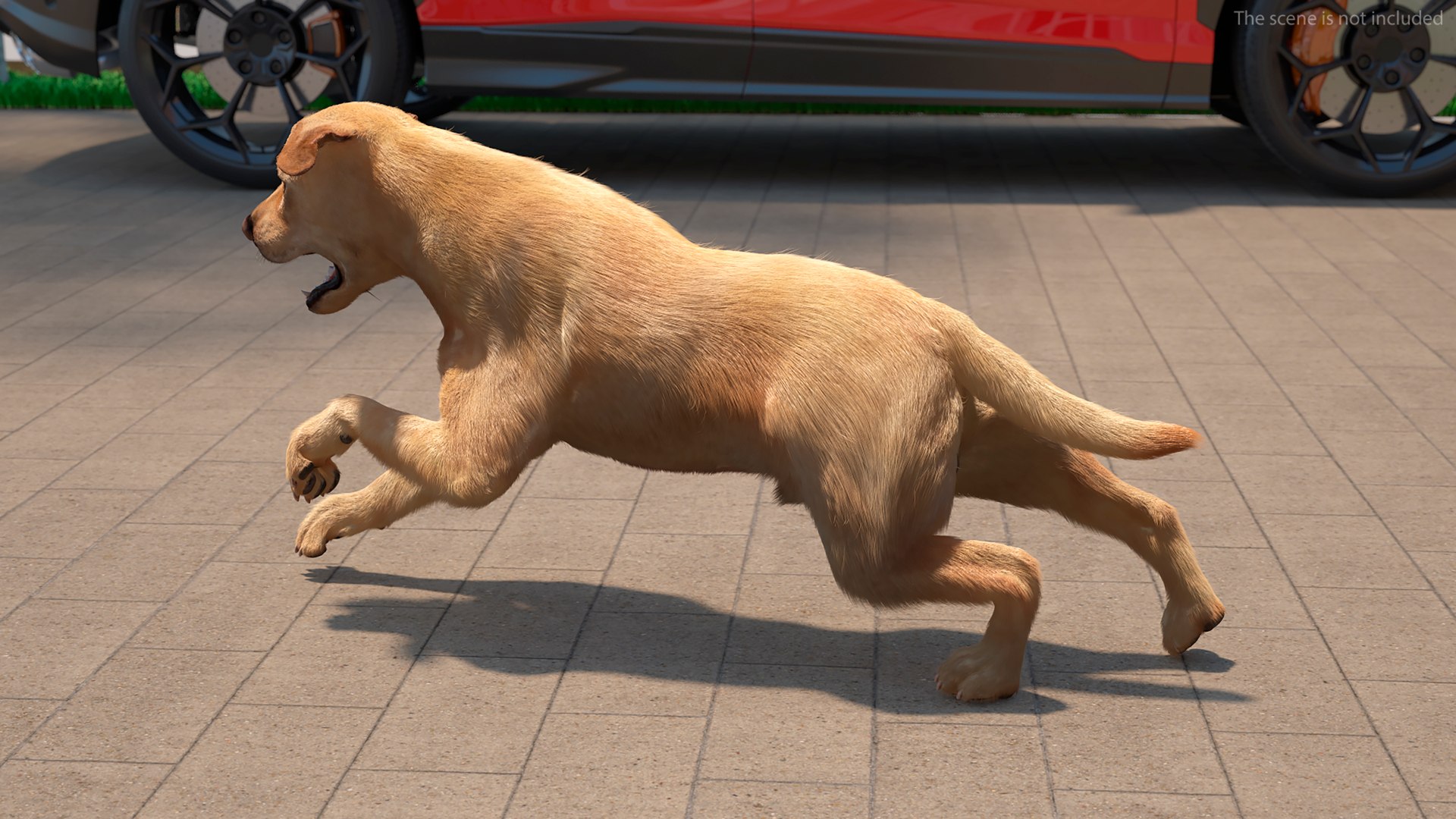 3D model Running White Retriever Dog Fur Animated Rigged for Maya https://p.turbosquid.com/ts-thumb/Kj/SOqCb7/wC/running_white_retriever_dog_fur_animated_rigged_004/jpg/1755130091/1920x1080/fit_q87/02be253f62992678b747ee7f1945d33f1d453580/running_white_retriever_dog_fur_animated_rigged_004.jpg