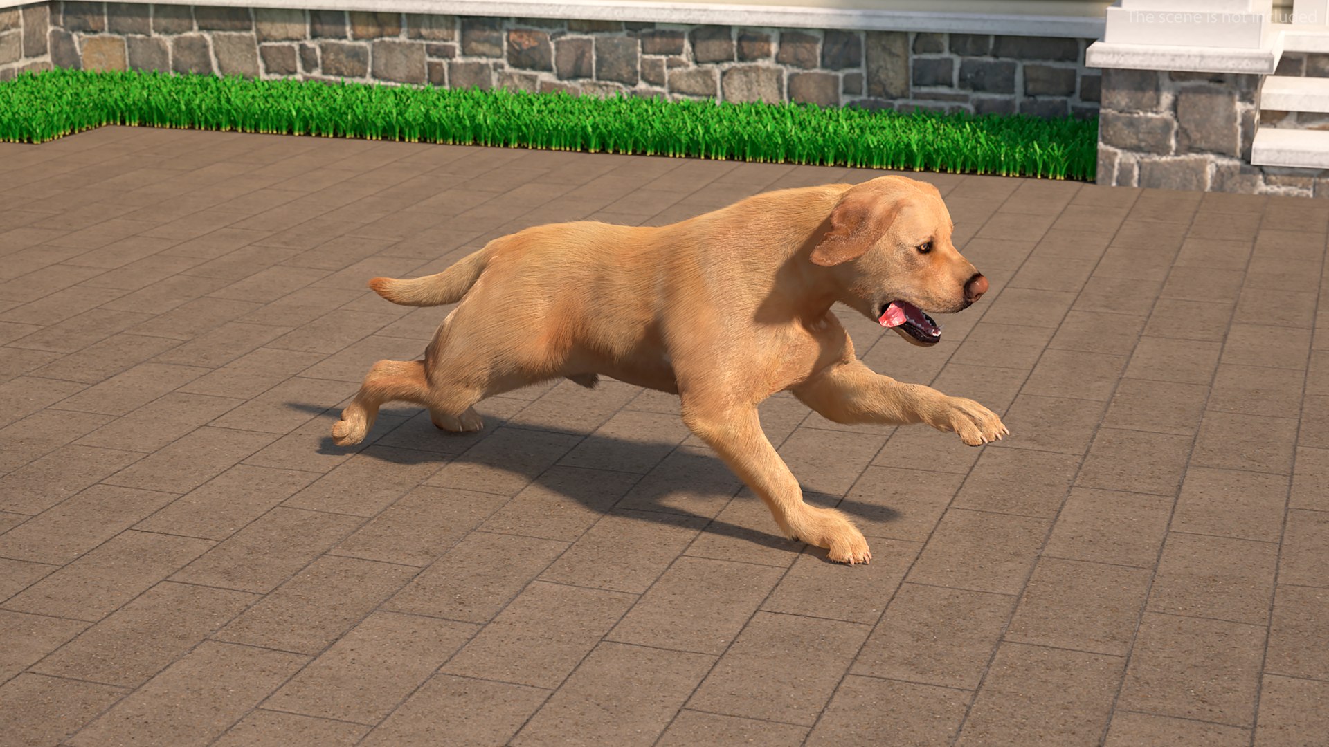 3D model Running White Retriever Dog Fur Animated Rigged for Maya https://p.turbosquid.com/ts-thumb/Kj/SOqCb7/xf/running_white_retriever_dog_fur_animated_rigged_003/jpg/1755130083/1920x1080/fit_q87/d1544570c70527af7b10c957670b800bfbb34b4f/running_white_retriever_dog_fur_animated_rigged_003.jpg