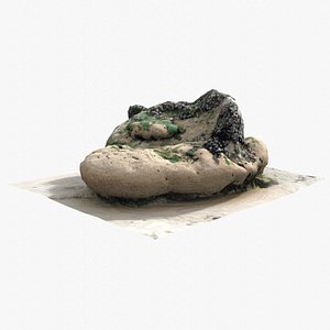 Rock 3D Scan 27