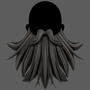 Beard V50 3D model