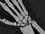 hand bones 3D model