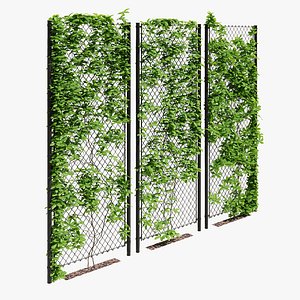 3D Ivy on fence three model