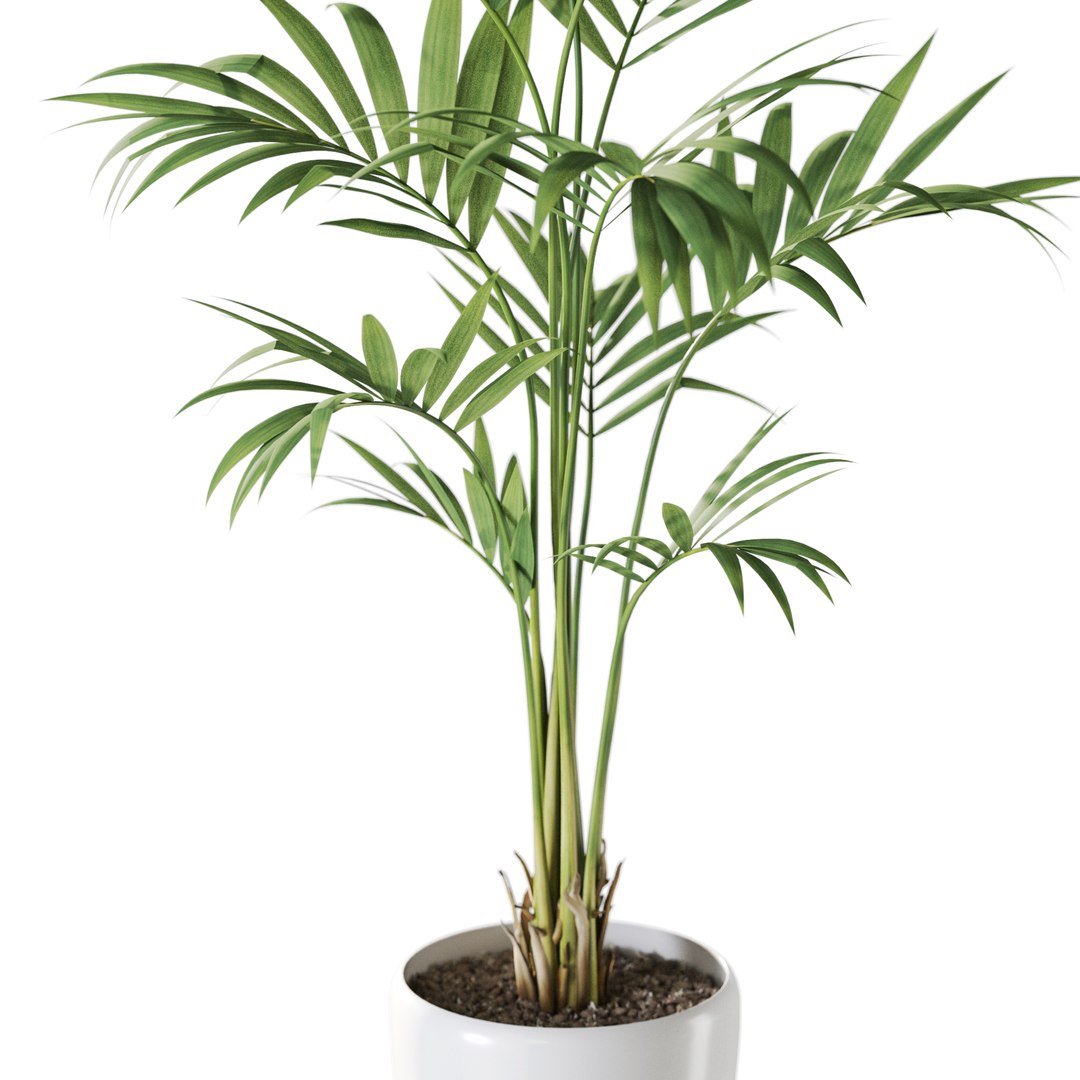 3D Plant 1237 Model - TurboSquid 2399308