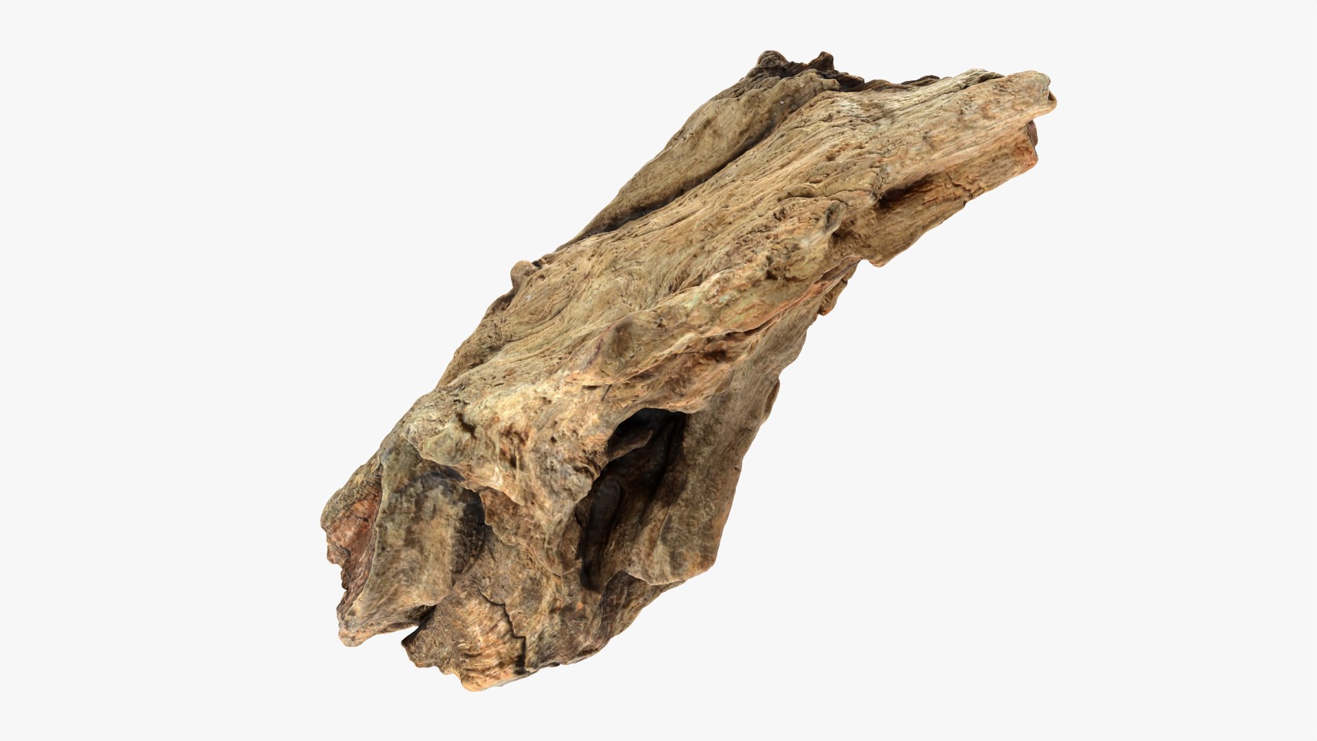 3D Tree Trunk Piece 06 https://p.turbosquid.com/ts-thumb/Kj/nbCr1P/26/treetrunkpc06_0008/png/1763579773/1920x1080/fit_q87/63ae75932c8c3d429acee6b1d624f753212763c9/treetrunkpc06_0008.jpg