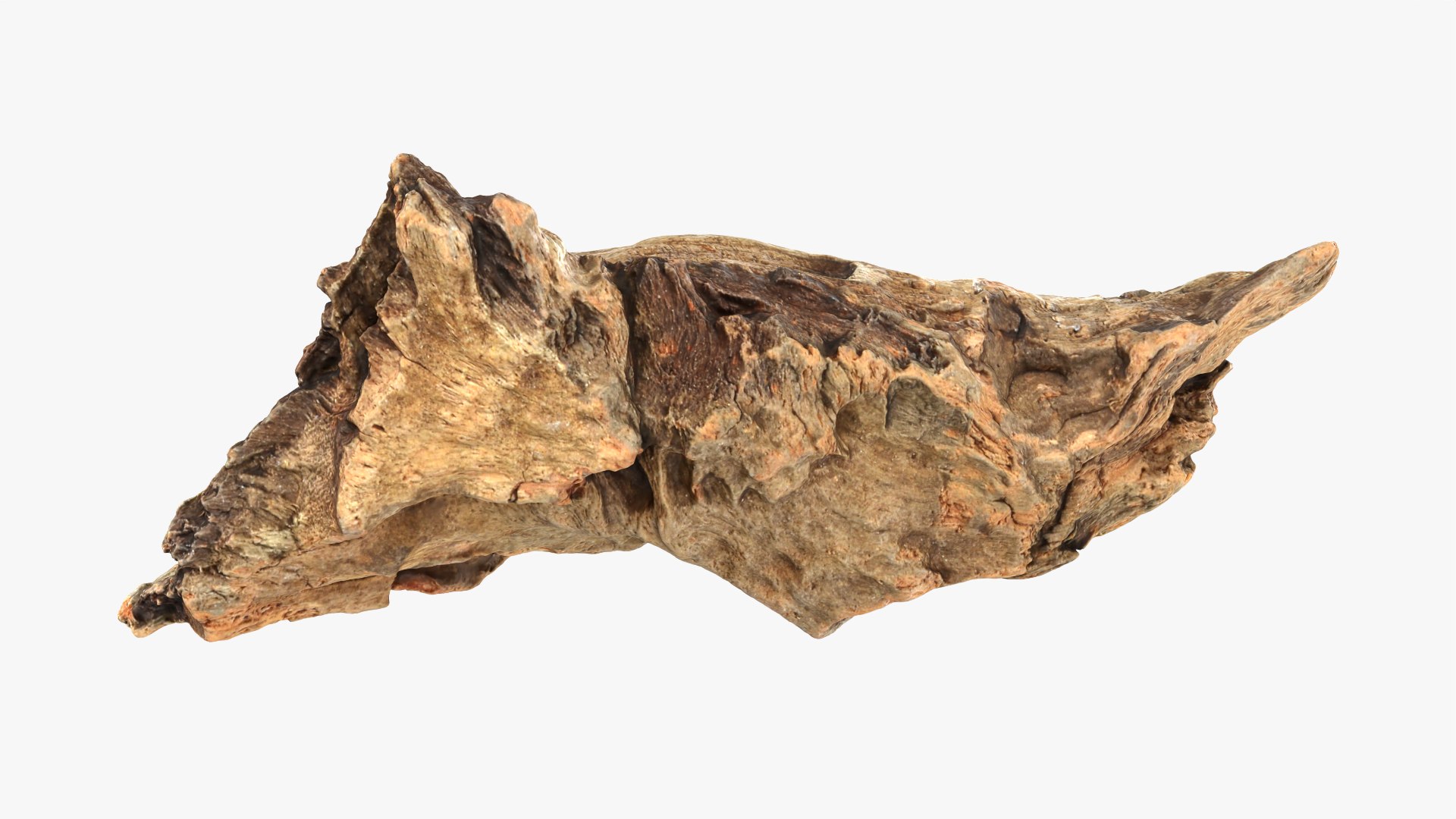 3D Tree Trunk Piece 06 https://p.turbosquid.com/ts-thumb/Kj/nbCr1P/3q/treetrunkpc06_0010/png/1763579790/1920x1080/fit_q87/f72312a76ea765833b0107358bee2e98885dc74d/treetrunkpc06_0010.jpg