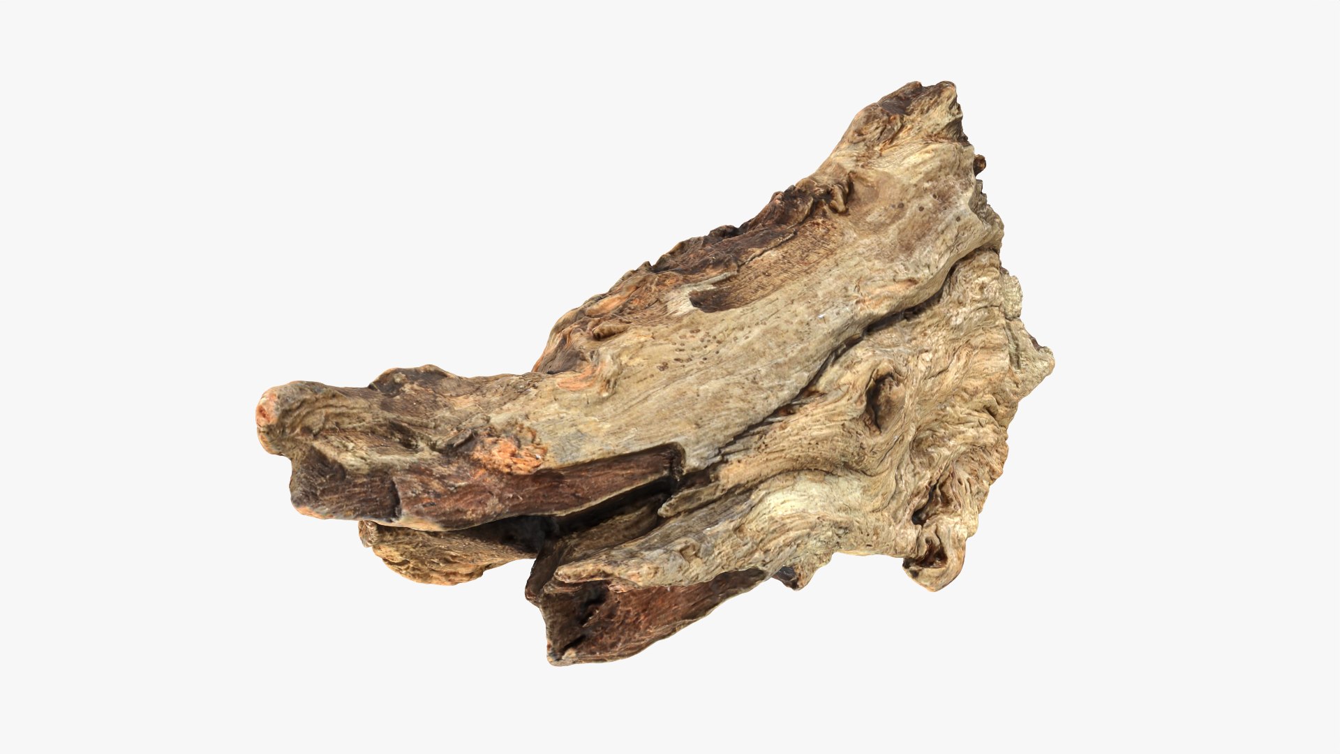 3D Tree Trunk Piece 06 https://p.turbosquid.com/ts-thumb/Kj/nbCr1P/53/treetrunkpc06_0009/png/1763579775/1920x1080/fit_q87/872ded7b9978a791a7063f822d7f86357842f768/treetrunkpc06_0009.jpg