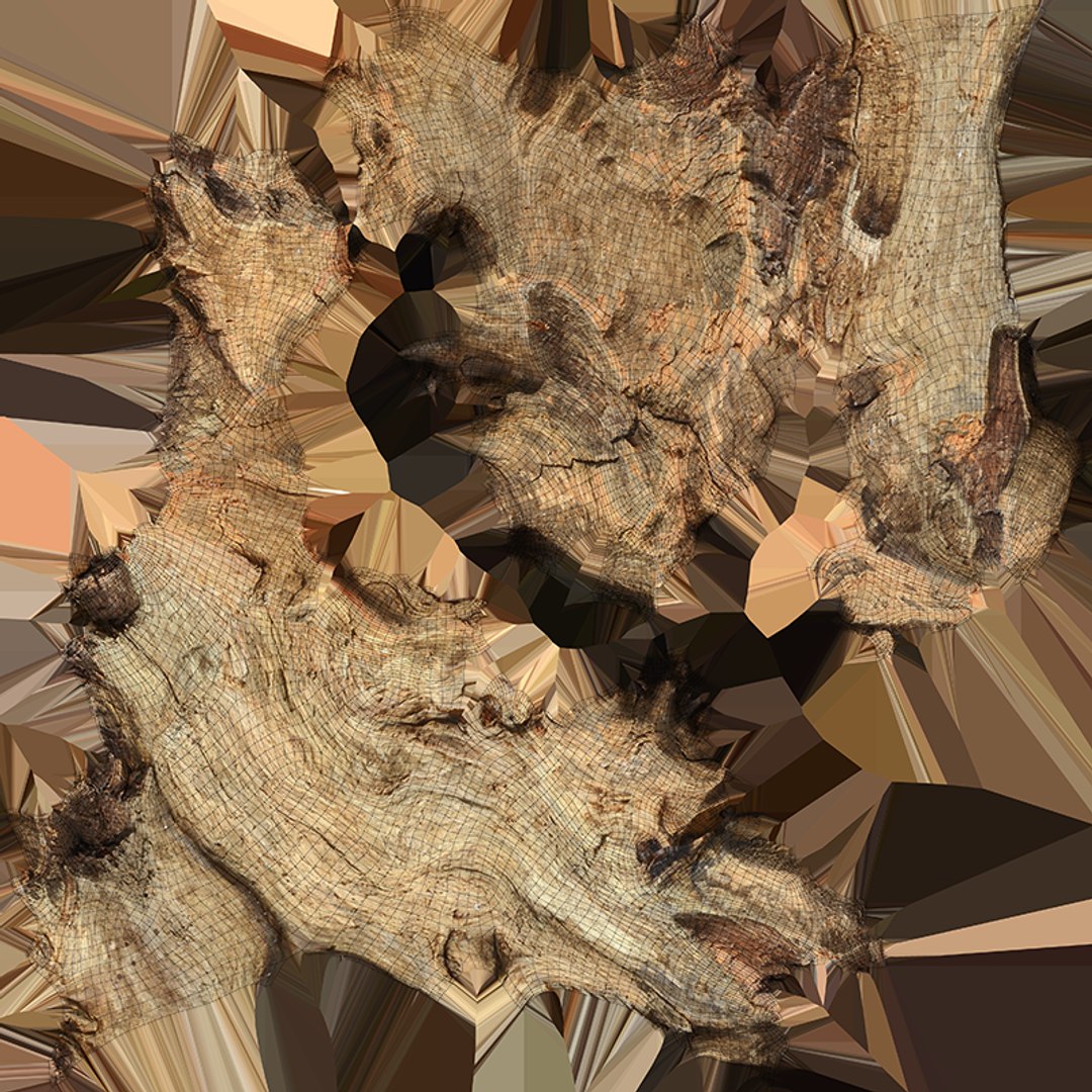 3D Tree Trunk Piece 06 https://p.turbosquid.com/ts-thumb/Kj/nbCr1P/6O/treetrunkpc06_c0004/png/1763579785/1920x1080/fit_q87/8832123ba96964bd1ba7ecf19050fe2cbf2b767c/treetrunkpc06_c0004.jpg