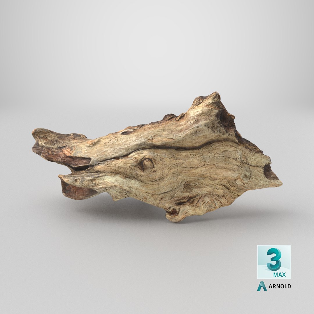 3D Tree Trunk Piece 06 https://p.turbosquid.com/ts-thumb/Kj/nbCr1P/Qw/stemcell_max_arnold_render/png/1764053186/1920x1080/fit_q87/e1a14b0fc90e1a26dc8e617ab3686d429680883c/stemcell_max_arnold_render.jpg