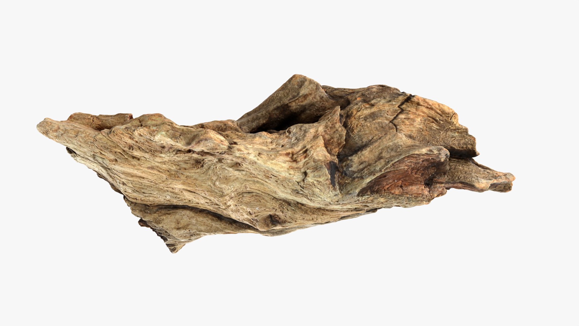 3D Tree Trunk Piece 06 https://p.turbosquid.com/ts-thumb/Kj/nbCr1P/S6/treetrunkpc06_0011/png/1763579778/1920x1080/fit_q87/67fe1f0c615fb402c4fdb68020250adfcbd1646b/treetrunkpc06_0011.jpg