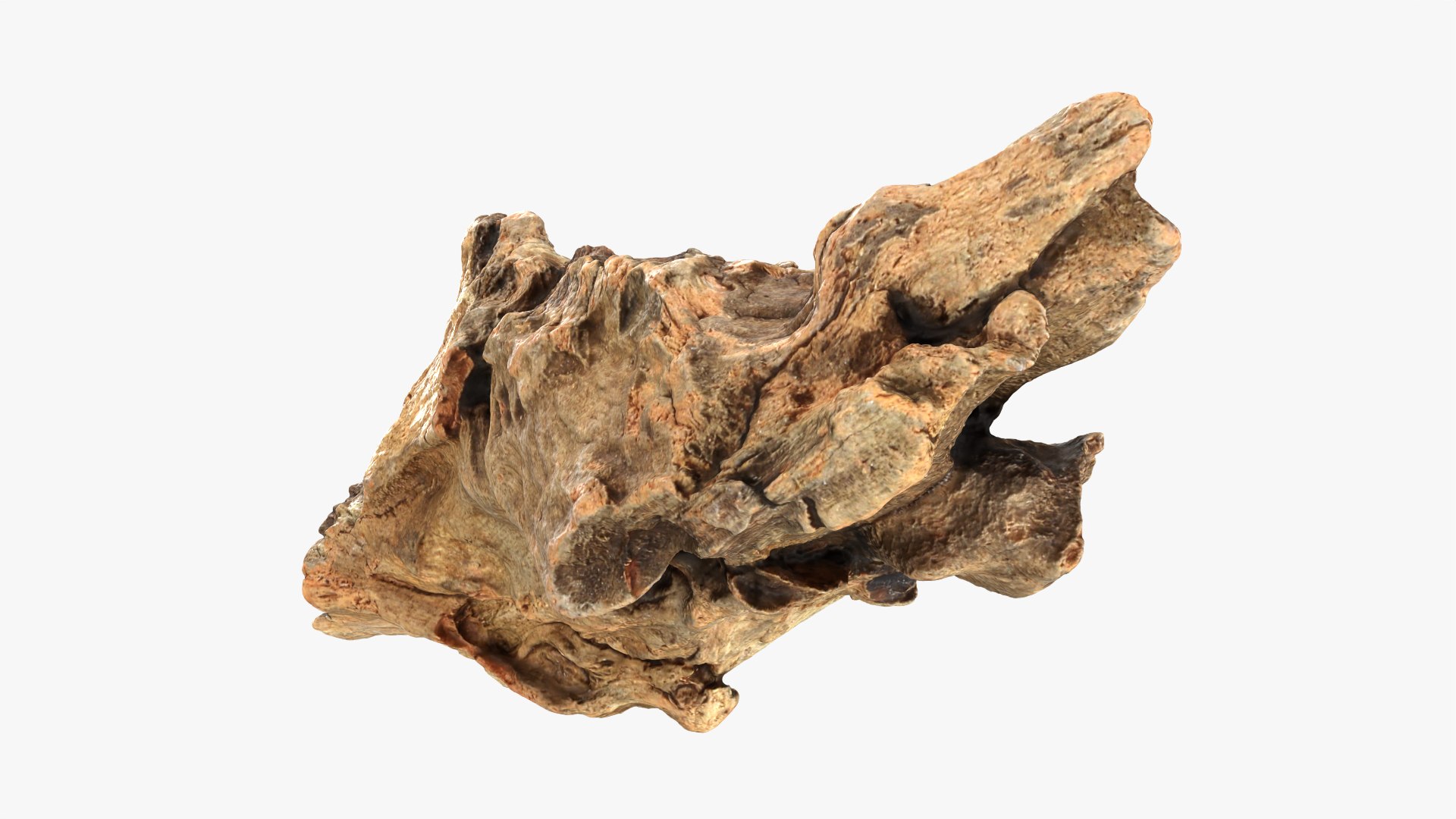 3D Tree Trunk Piece 06 https://p.turbosquid.com/ts-thumb/Kj/nbCr1P/V2/treetrunkpc06_0005/png/1763579757/1920x1080/fit_q87/789d2c63636f8e1cb949803abdf386a006b7d7e5/treetrunkpc06_0005.jpg