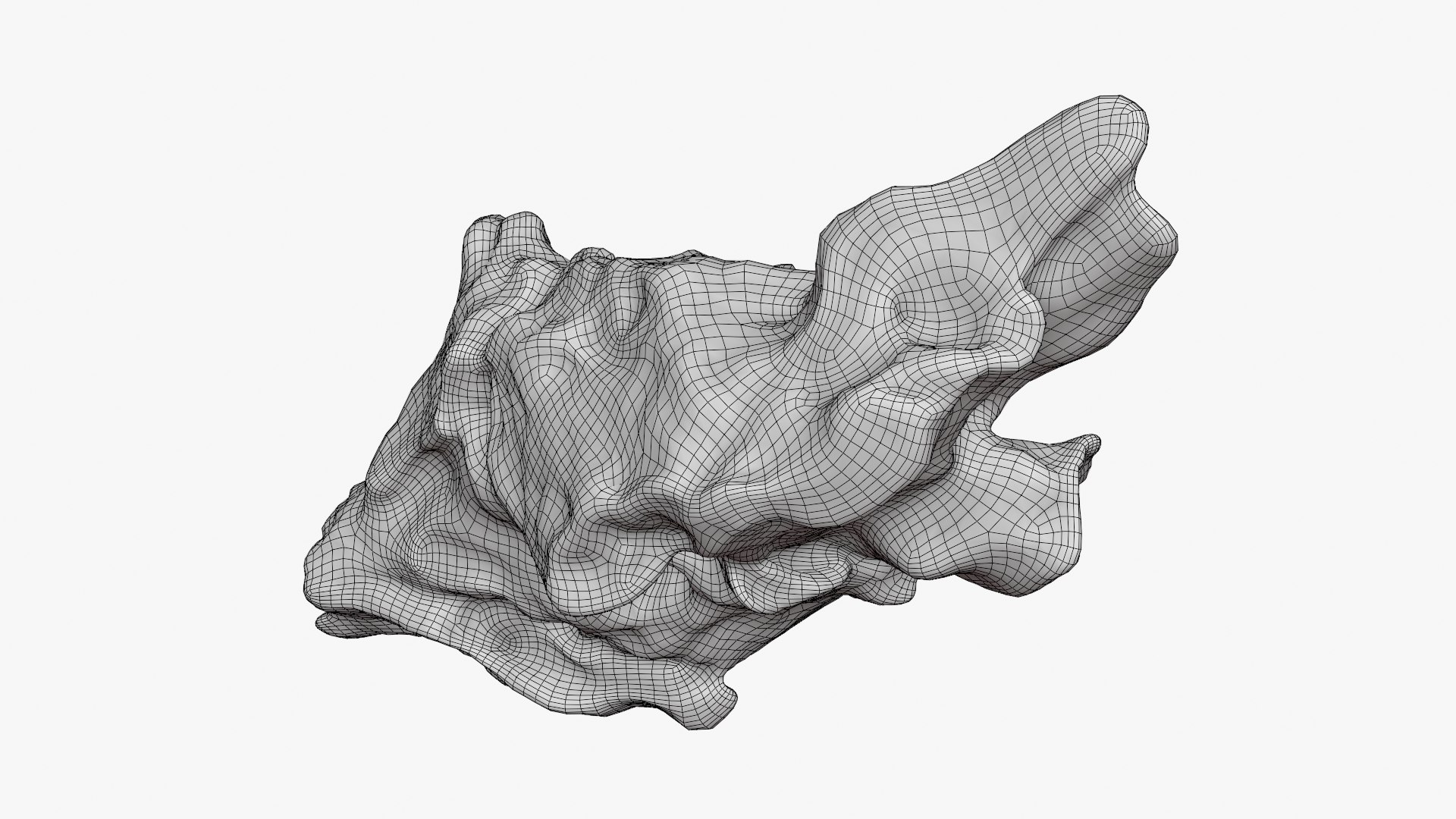 3D Tree Trunk Piece 06 https://p.turbosquid.com/ts-thumb/Kj/nbCr1P/Vb/treetrunkpc06_d0005/png/1763579794/1920x1080/fit_q87/88203b770d398dd5f2a9f5e50756a8efbcfb5bea/treetrunkpc06_d0005.jpg