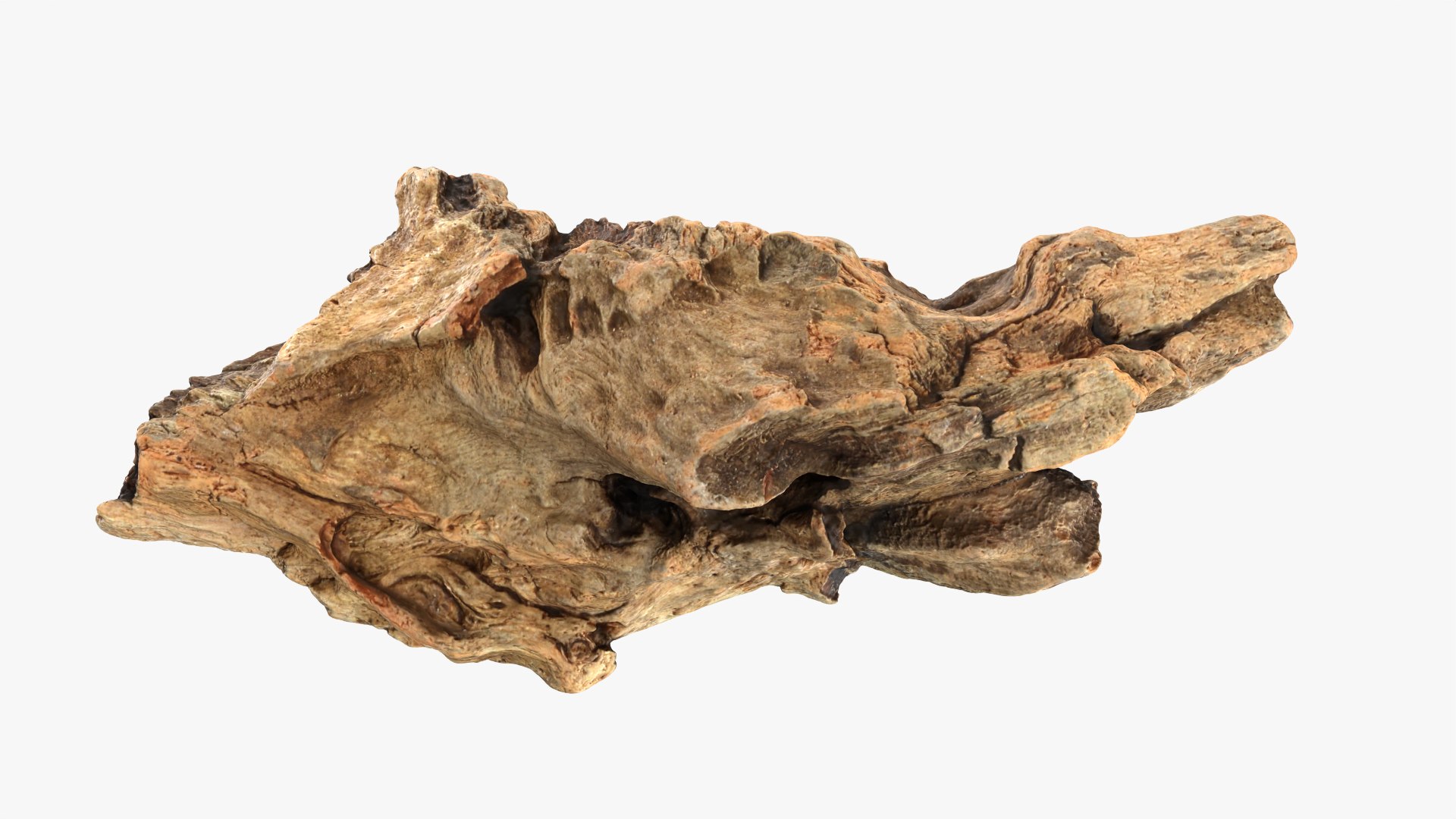 3D Tree Trunk Piece 06 https://p.turbosquid.com/ts-thumb/Kj/nbCr1P/bI/treetrunkpc06_0004/png/1763579768/1920x1080/fit_q87/49b85fd32b479179b1ba8f1baa55a56fe4b51b5e/treetrunkpc06_0004.jpg