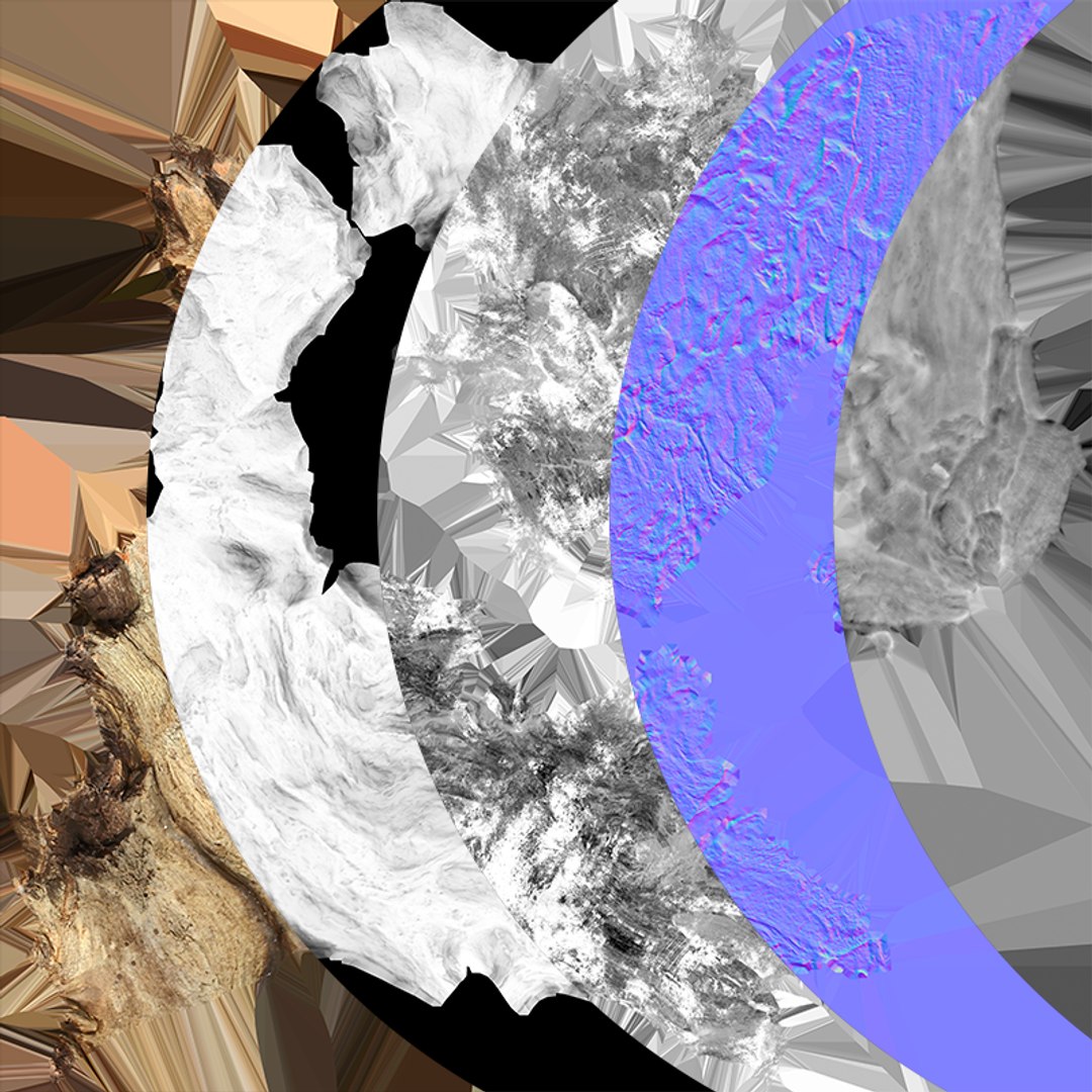 3D Tree Trunk Piece 06 https://p.turbosquid.com/ts-thumb/Kj/nbCr1P/k7/treetrunkpc06_c0005/png/1763579787/1920x1080/fit_q87/8f3aed78da902955ee2597270ba04c0fb4b1d0f7/treetrunkpc06_c0005.jpg