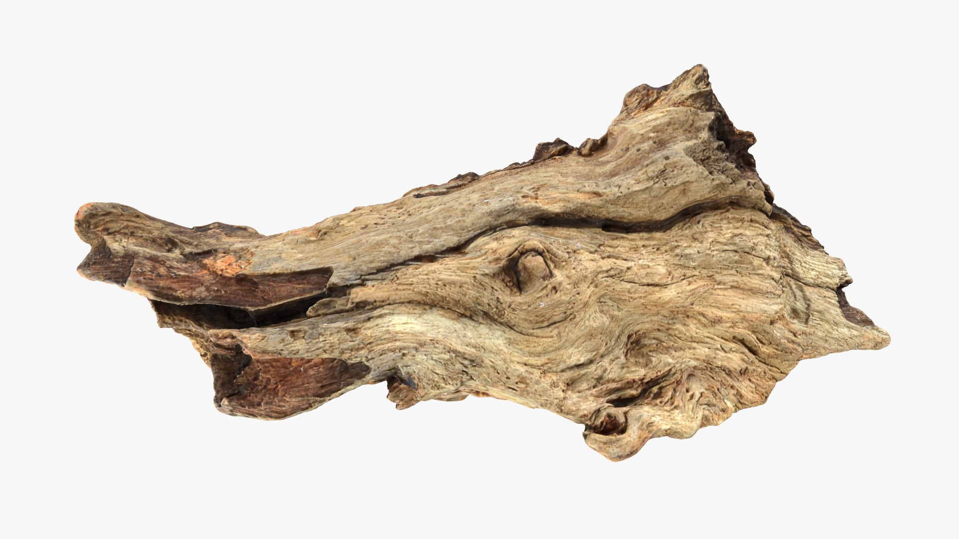 Tree Trunk Piece Collection 2 3D https://p.turbosquid.com/ts-thumb/Kj/nbCr1P/ki/treetrunkpc06_0001/png/1782324950/1920x1080/fit_q87/ee78078235e5c2f594995277ab6baa446f69b120/treetrunkpc06_0001.jpg
