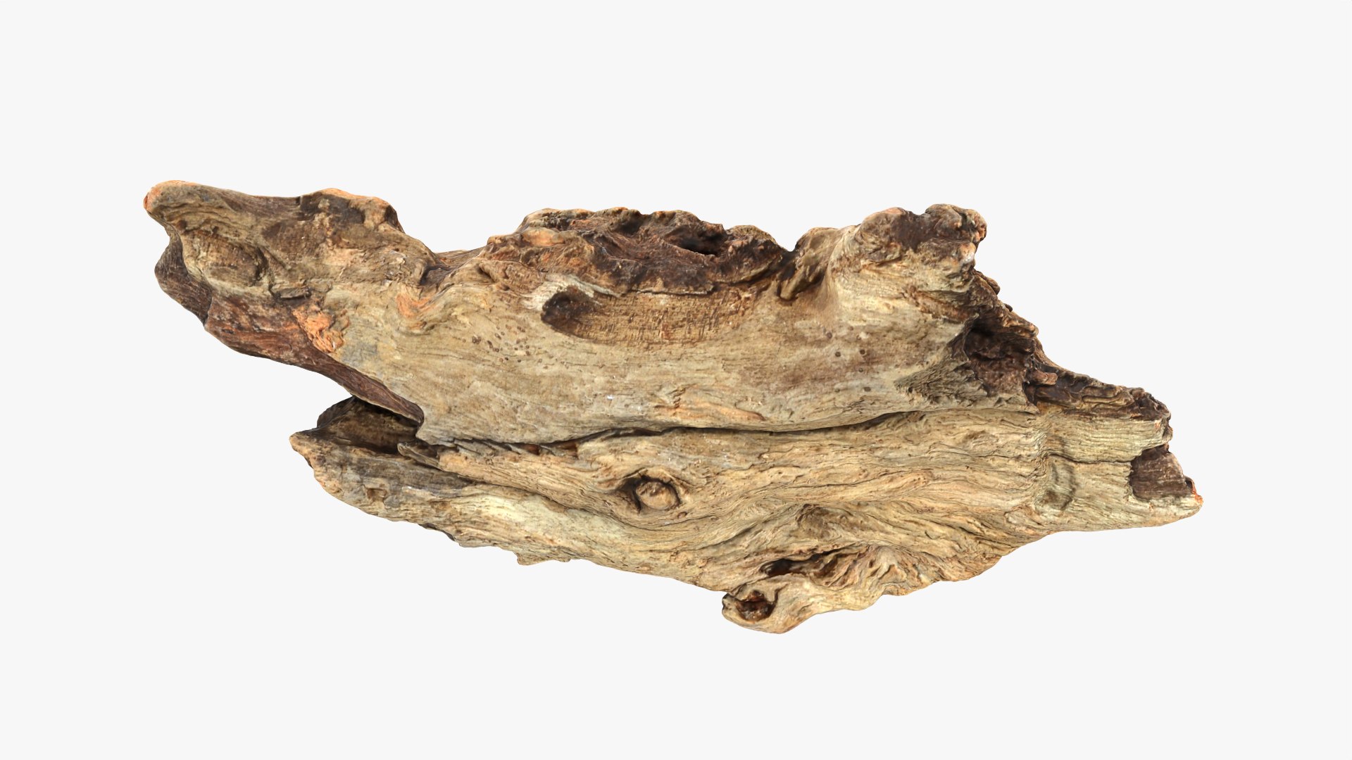 3D Tree Trunk Piece 06 https://p.turbosquid.com/ts-thumb/Kj/nbCr1P/mK/treetrunkpc06_0003/png/1763579748/1920x1080/fit_q87/d667b61184f816ddc0c78baa80e6f399c1924152/treetrunkpc06_0003.jpg