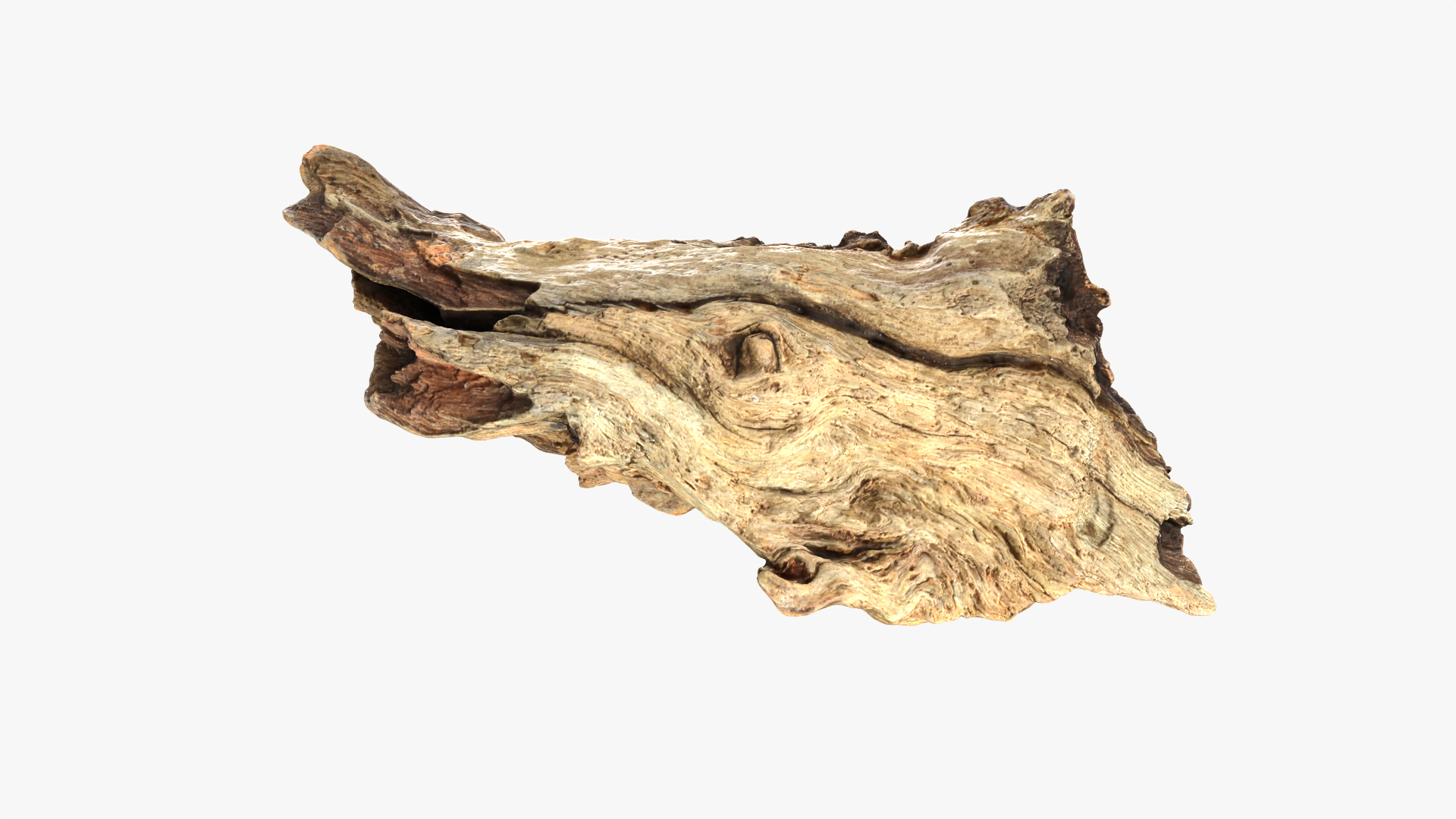 3D Tree Trunk Piece 06 https://p.turbosquid.com/ts-thumb/Kj/nbCr1P/r3/treetrunkpc06/png/1764007502/1920x1080/turn_fit_q99/80ef4b399946d5a98f287246bcc3737fb833e6a7/treetrunkpc06-1.jpg