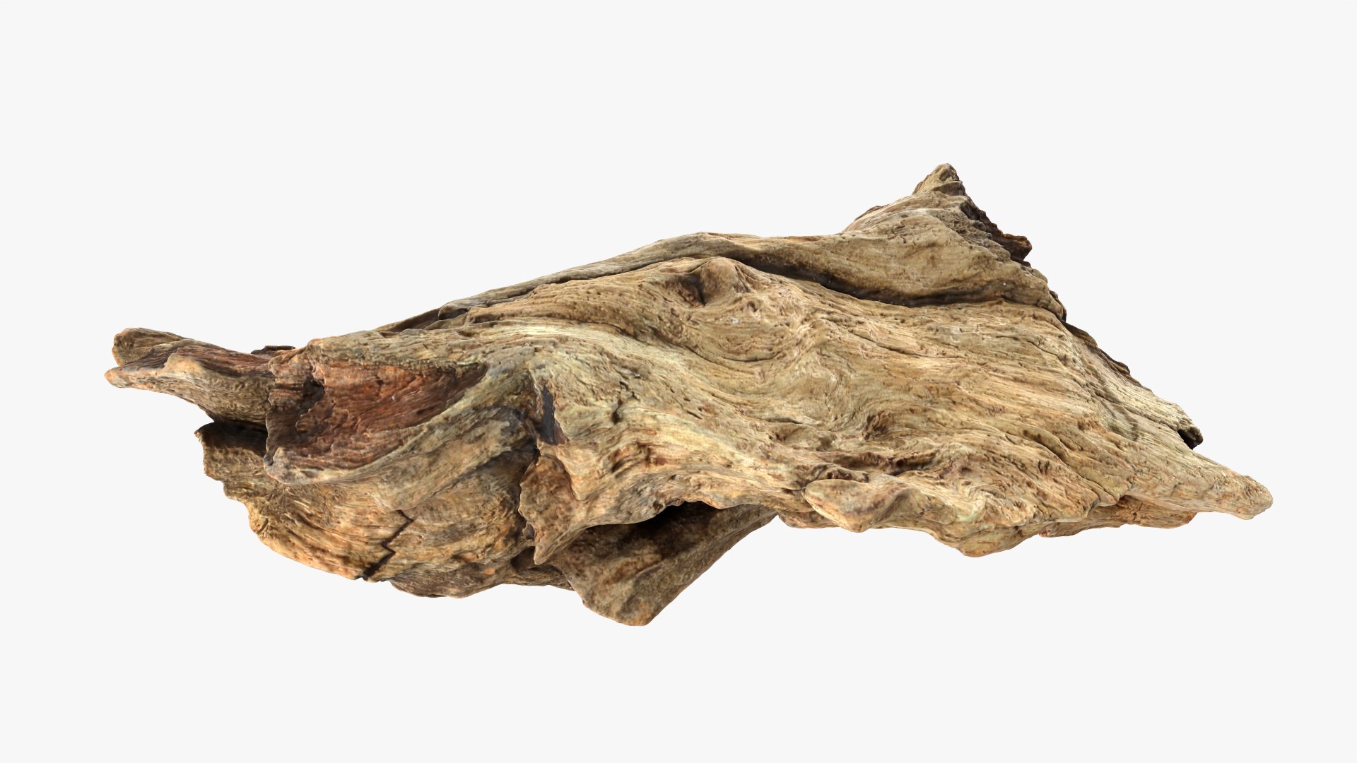 3D Tree Trunk Piece 06 https://p.turbosquid.com/ts-thumb/Kj/nbCr1P/s7/treetrunkpc06_0002/png/1763579738/1920x1080/fit_q87/1a7ce5a3d3a4df07e367a30e3fc25c15ecf8cf1b/treetrunkpc06_0002.jpg