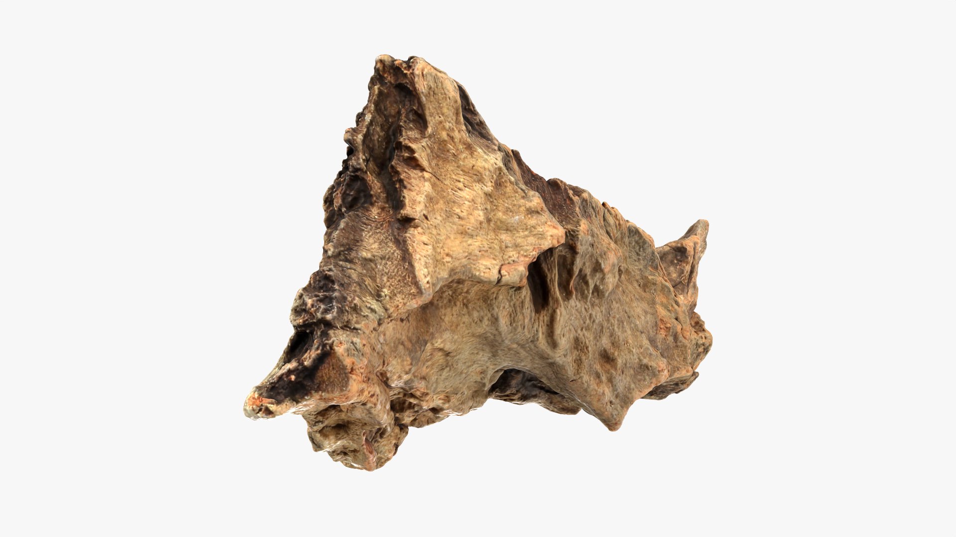 3D Tree Trunk Piece 06 https://p.turbosquid.com/ts-thumb/Kj/nbCr1P/ts/treetrunkpc06_0007/png/1763579779/1920x1080/fit_q87/2a9fbf5cb798cb918aab0187026943797082ad41/treetrunkpc06_0007.jpg
