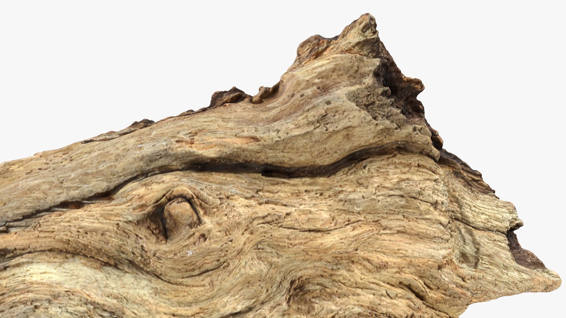 3D Tree Trunk Piece 06 https://p.turbosquid.com/ts-thumb/Kj/nbCr1P/wj/treetrunkpc06_0012/png/1763579785/1920x1080/fit_q87/5f832eebf4637ca39e17779a7bae118974b927e3/treetrunkpc06_0012.jpg