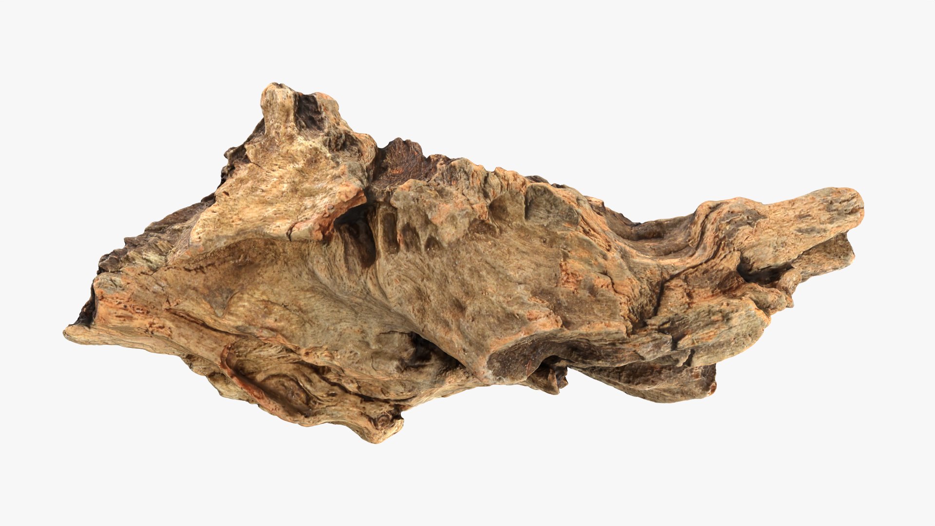 3D Tree Trunk Piece 06 https://p.turbosquid.com/ts-thumb/Kj/nbCr1P/x3/treetrunkpc06_0006/png/1763579772/1920x1080/fit_q87/2a5482ed6ed809170f5938fa52f666b50906861e/treetrunkpc06_0006.jpg