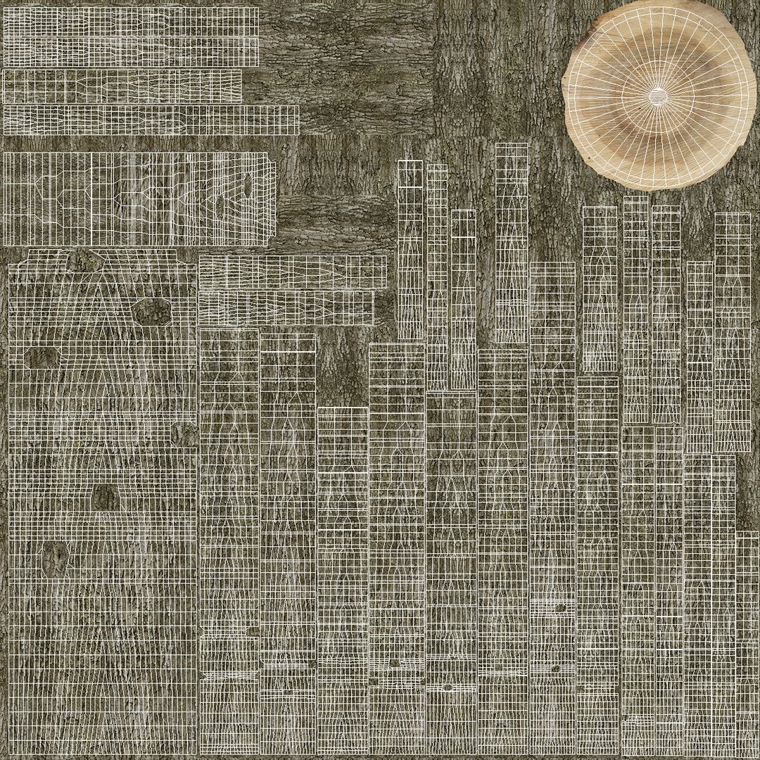 Swamp White Oak Winter 3D model https://p.turbosquid.com/ts-thumb/Kj/sJcIa4/1W/swampwhiteoakwinter3dmodel018/jpg/1707012379/1920x1080/fit_q87/7745a7c0834f7cdeb98d0617fb2c69cc0931bb3b/swampwhiteoakwinter3dmodel018.jpg