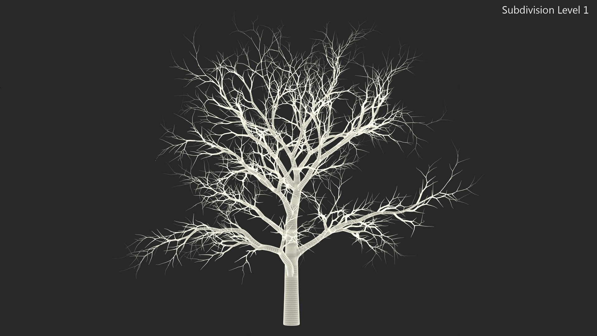 Swamp White Oak Winter 3D model https://p.turbosquid.com/ts-thumb/Kj/sJcIa4/7U/swampwhiteoakwinter3dmodel017/jpg/1707012375/1920x1080/fit_q87/9751c77bf6d4bf7450343432199aa8c38d73ffa8/swampwhiteoakwinter3dmodel017.jpg