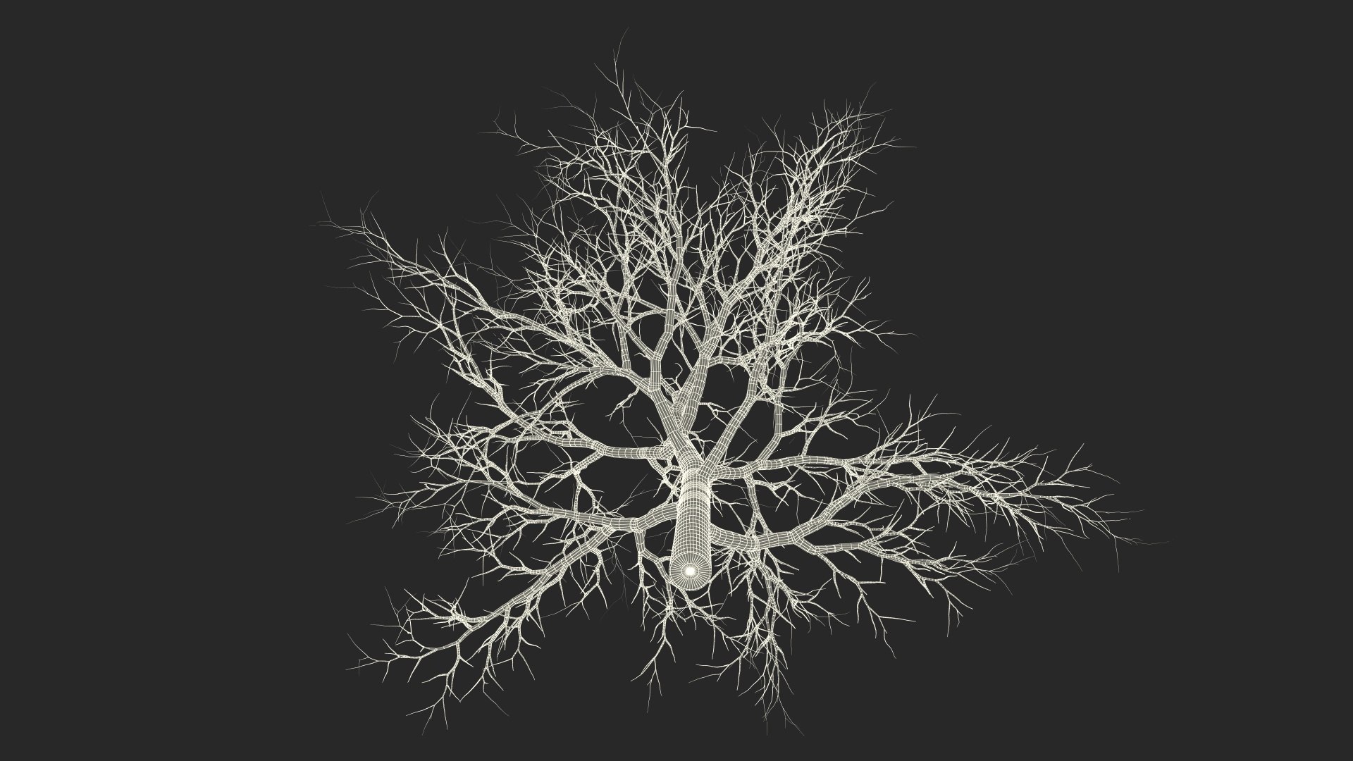Swamp White Oak Winter 3D model https://p.turbosquid.com/ts-thumb/Kj/sJcIa4/8A/swampwhiteoakwinter3dmodel027/jpg/1707012418/1920x1080/fit_q87/bc35759dcfd793b1243dc5018710a5af6cd345ca/swampwhiteoakwinter3dmodel027.jpg