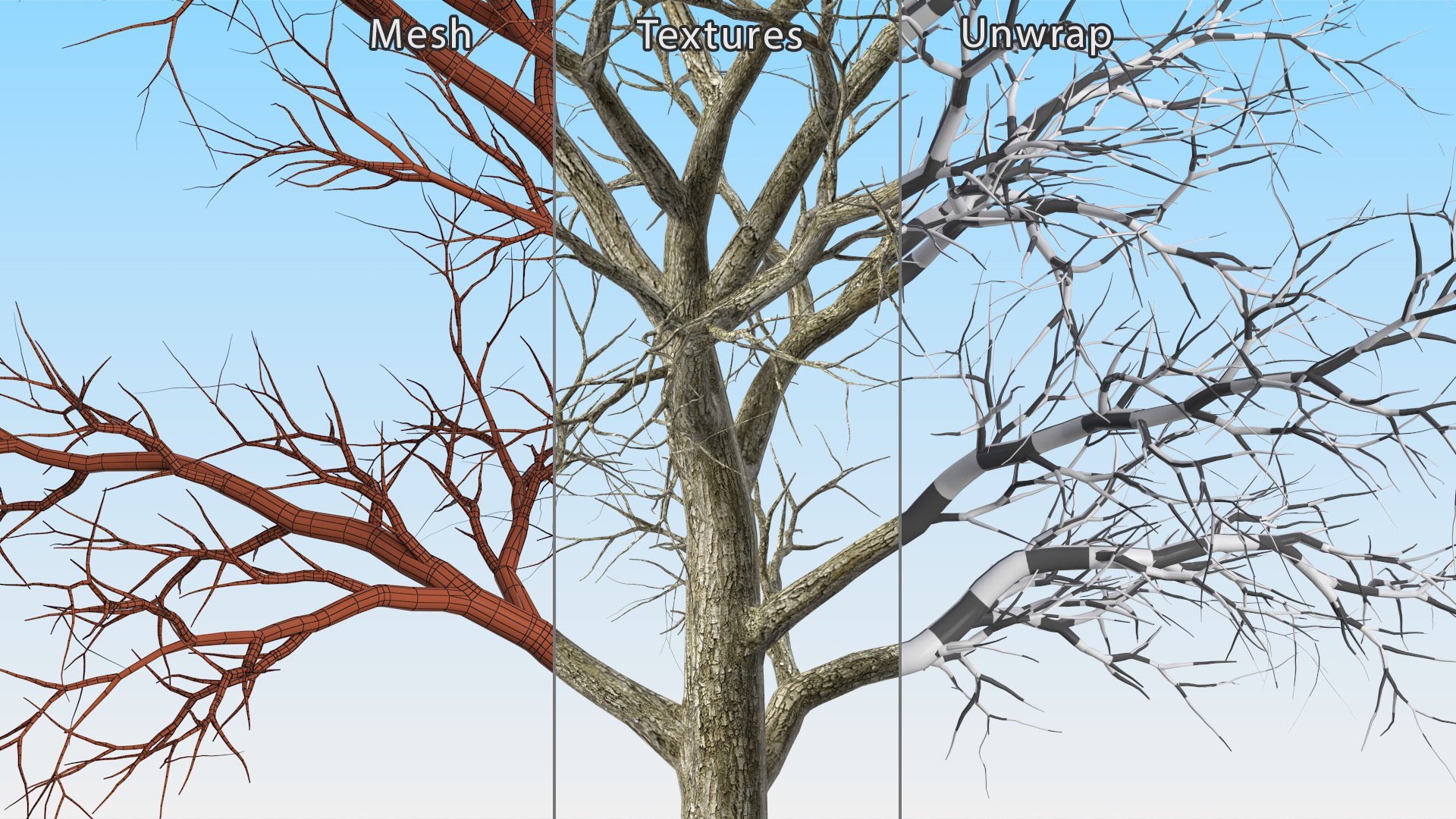 Swamp White Oak Winter 3D model https://p.turbosquid.com/ts-thumb/Kj/sJcIa4/8i/swampwhiteoakwinter3dmodel015/jpg/1707012366/1920x1080/fit_q87/03ad80bf9eaaec97792cd8c5b0450c52072126e2/swampwhiteoakwinter3dmodel015.jpg