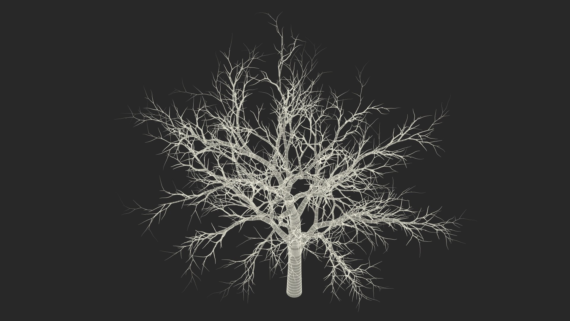 Swamp White Oak Winter 3D model https://p.turbosquid.com/ts-thumb/Kj/sJcIa4/NG/swampwhiteoakwinter3dmodel026/jpg/1707012413/1920x1080/fit_q87/5b01d20c59e6eae23b099701a33124709afbaca1/swampwhiteoakwinter3dmodel026.jpg