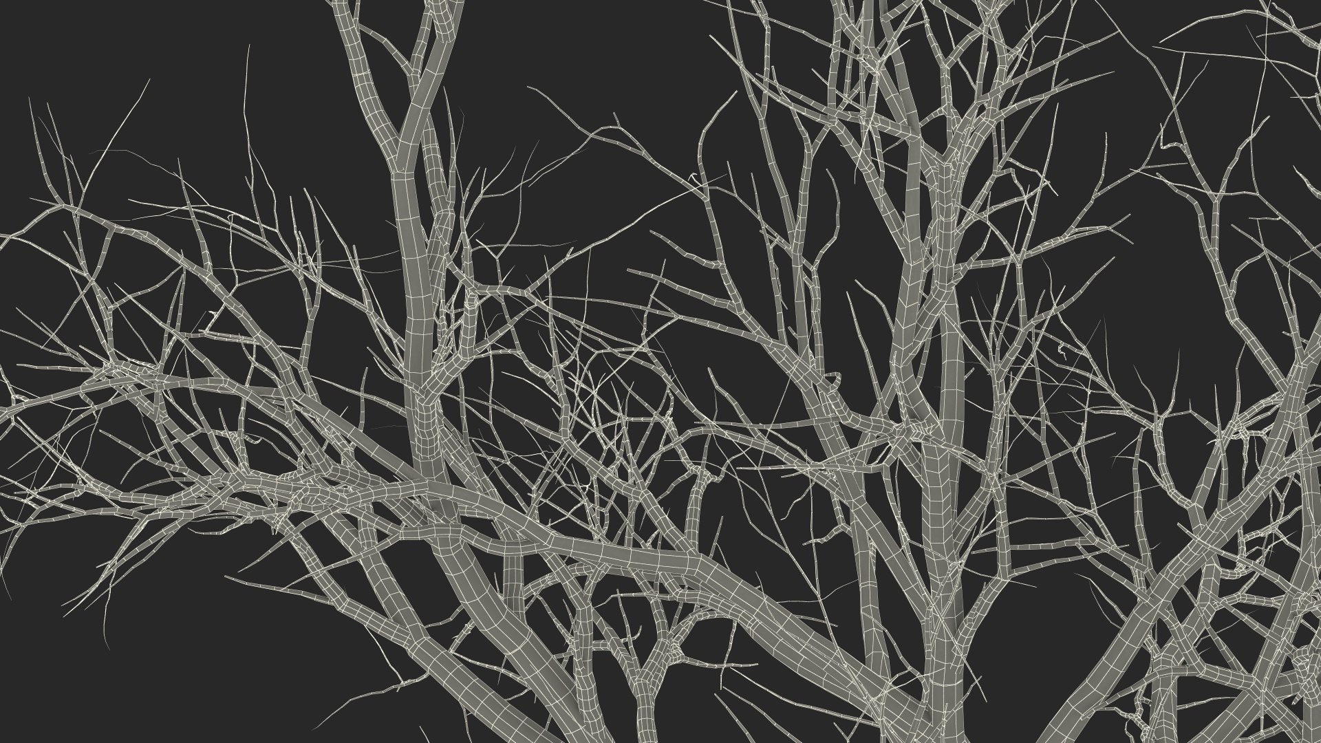 Swamp White Oak Winter 3D model https://p.turbosquid.com/ts-thumb/Kj/sJcIa4/Wc/swampwhiteoakwinter3dmodel029/jpg/1707012427/1920x1080/fit_q87/2edeefba3d4fd46ba9984b97341cf88c73546bfa/swampwhiteoakwinter3dmodel029.jpg