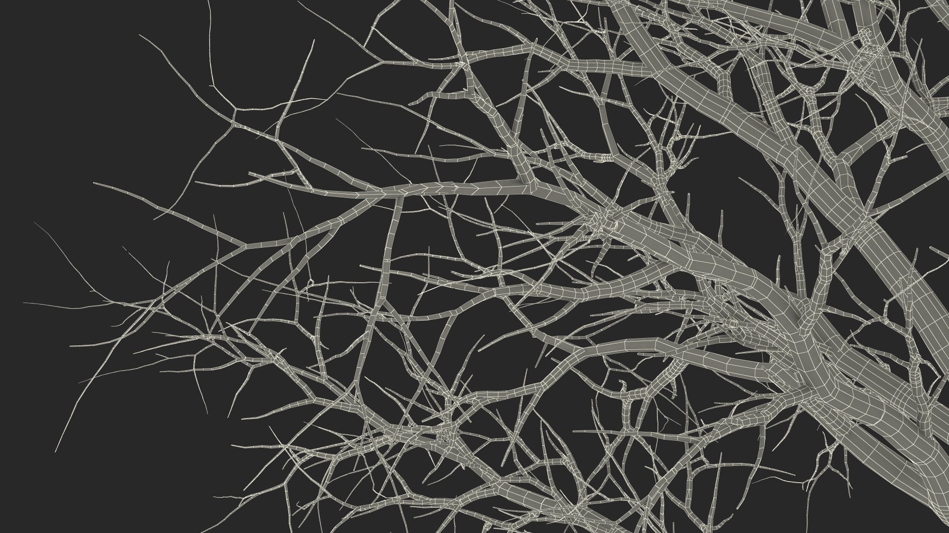 Swamp White Oak Winter 3D model https://p.turbosquid.com/ts-thumb/Kj/sJcIa4/af/swampwhiteoakwinter3dmodel030/jpg/1707012433/1920x1080/fit_q87/a4e45db322f61a25721544ec2176f03197892473/swampwhiteoakwinter3dmodel030.jpg