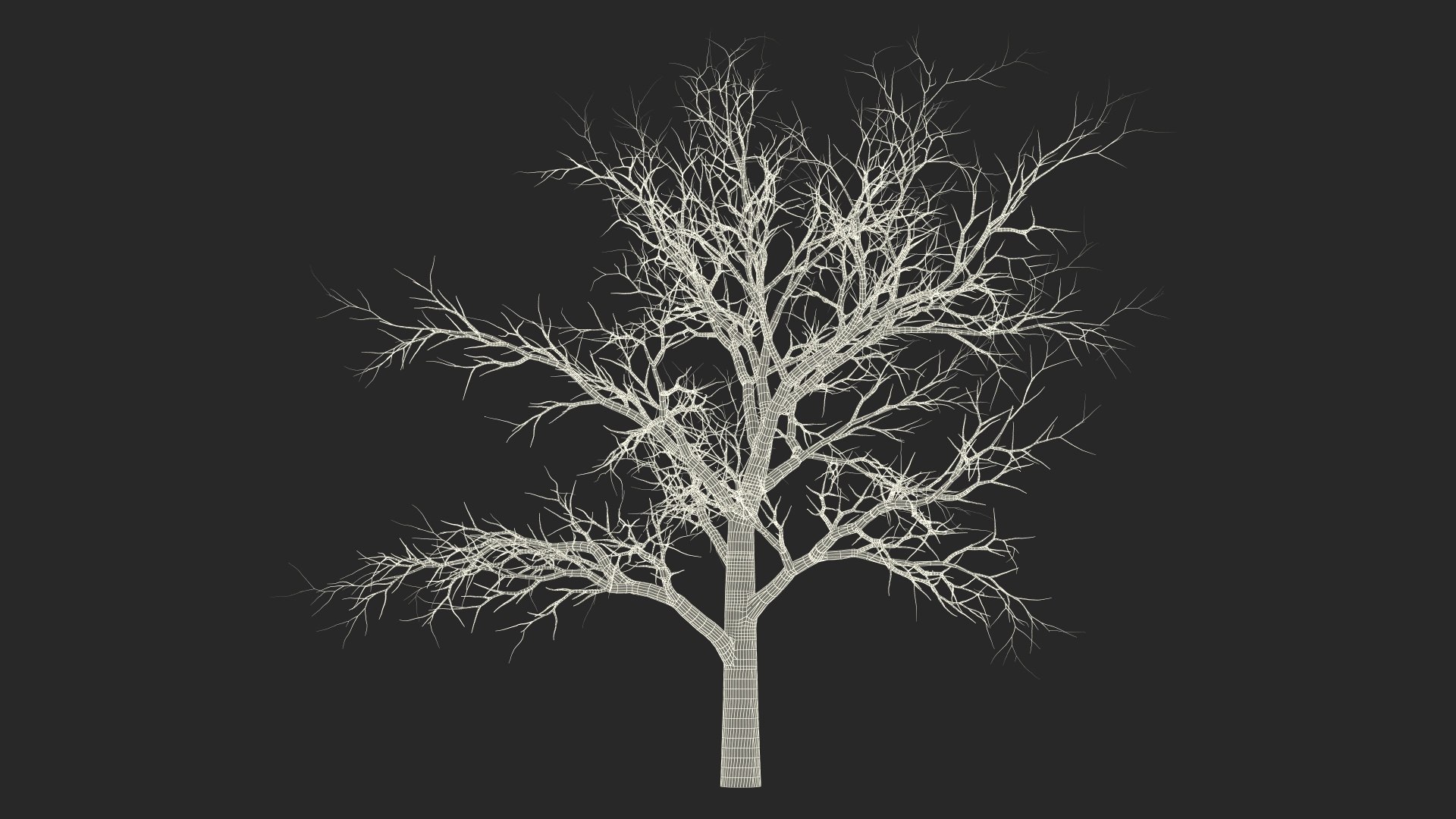 Swamp White Oak Winter 3D model https://p.turbosquid.com/ts-thumb/Kj/sJcIa4/by/swampwhiteoakwinter3dmodel025/jpg/1707012408/1920x1080/fit_q87/ea08b172dffe75a34a5bacf465f93bc1c9422d0f/swampwhiteoakwinter3dmodel025.jpg