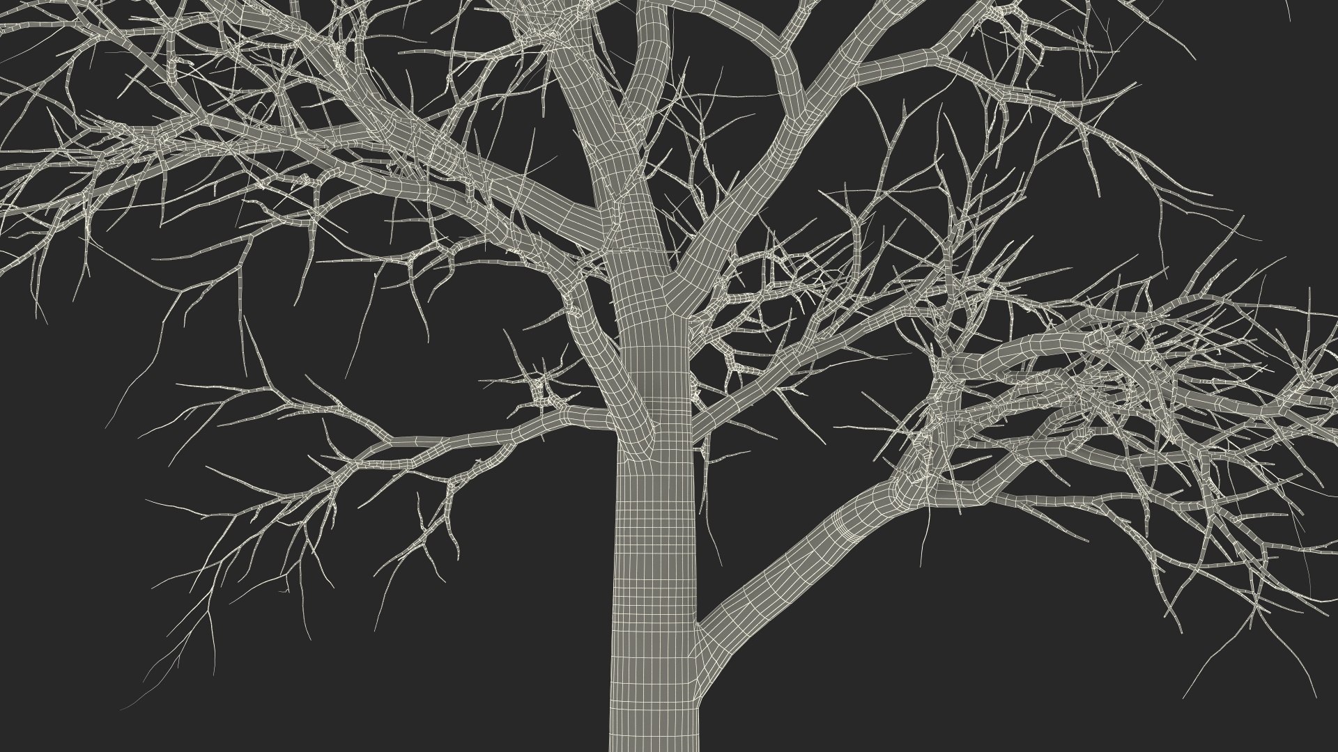 Swamp White Oak Winter 3D model https://p.turbosquid.com/ts-thumb/Kj/sJcIa4/nl/swampwhiteoakwinter3dmodel028/jpg/1707012423/1920x1080/fit_q87/b5f4fb6b3214b314d6151a612c88367a0b52e80f/swampwhiteoakwinter3dmodel028.jpg