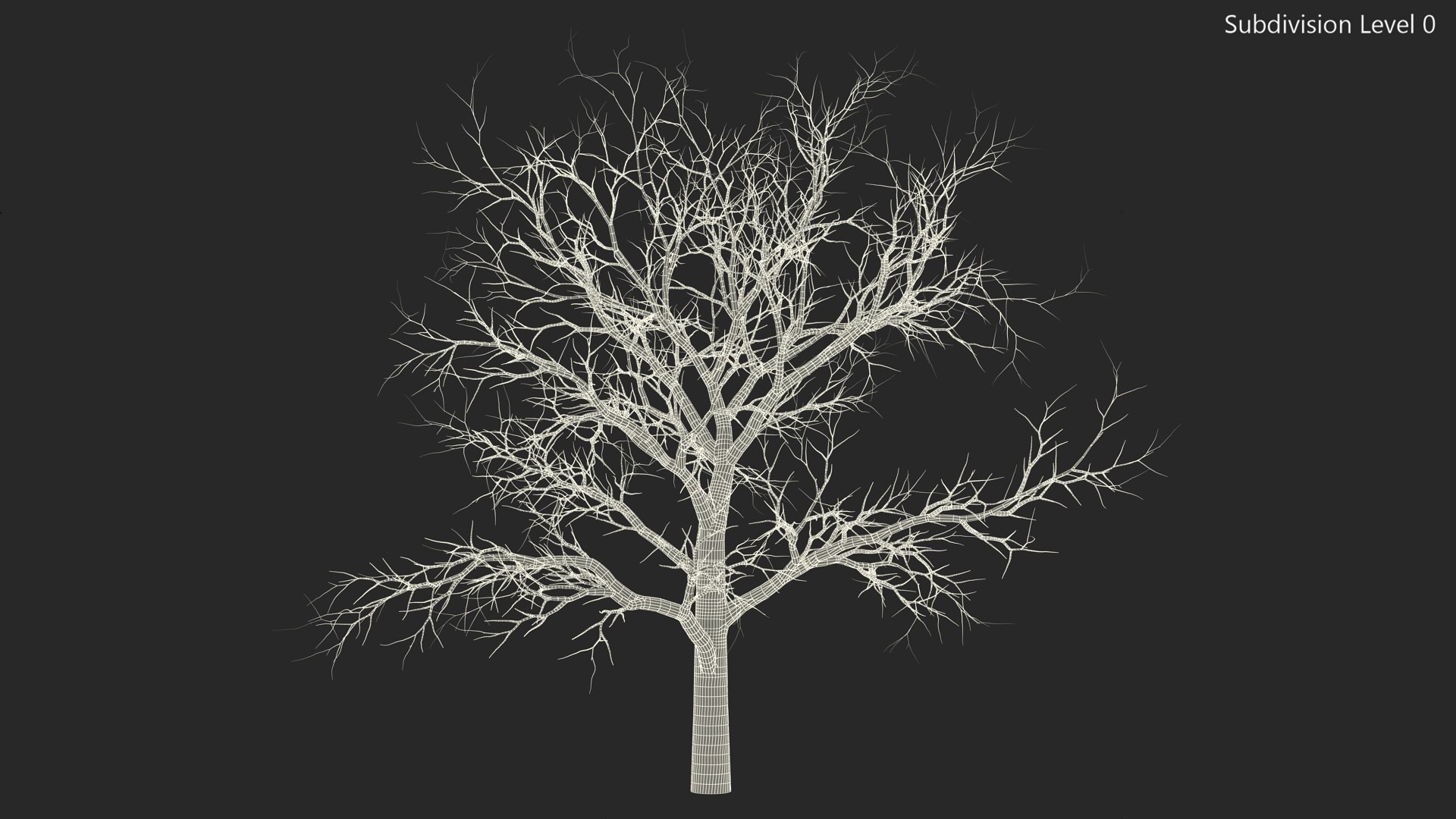 Swamp White Oak Winter 3D model https://p.turbosquid.com/ts-thumb/Kj/sJcIa4/sG/swampwhiteoakwinter3dmodel016/jpg/1707012371/1920x1080/fit_q87/139f0fb735fb5ff08f479df34b6a70c0b5548143/swampwhiteoakwinter3dmodel016.jpg