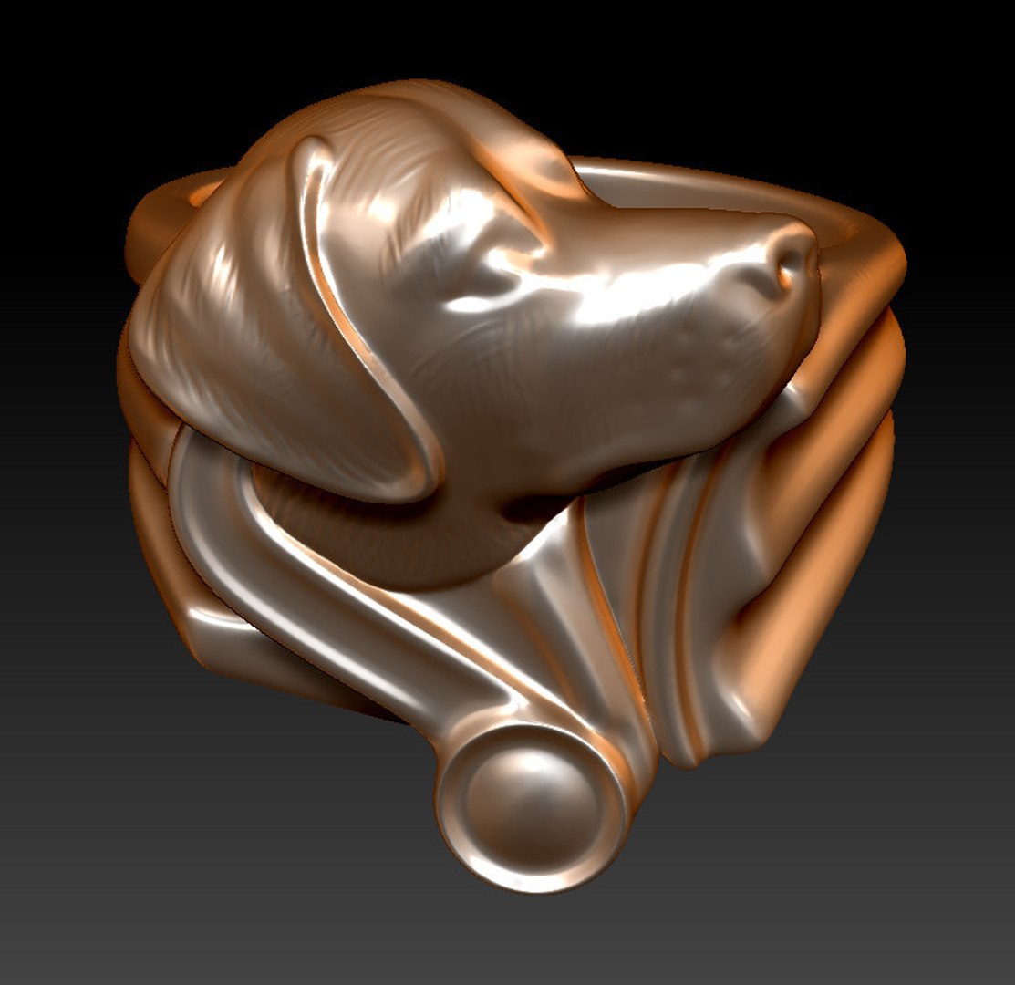 3D labrador ring https://p.turbosquid.com/ts-thumb/Kk/5i2rzH/B1kofzfY/labradorring_preview_8/jpg/1536832091/1920x1080/fit_q87/f6ad78423e8406e460f8d058281c3aff83dbf815/labradorring_preview_8.jpg