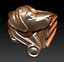 Labrador Dog Ring