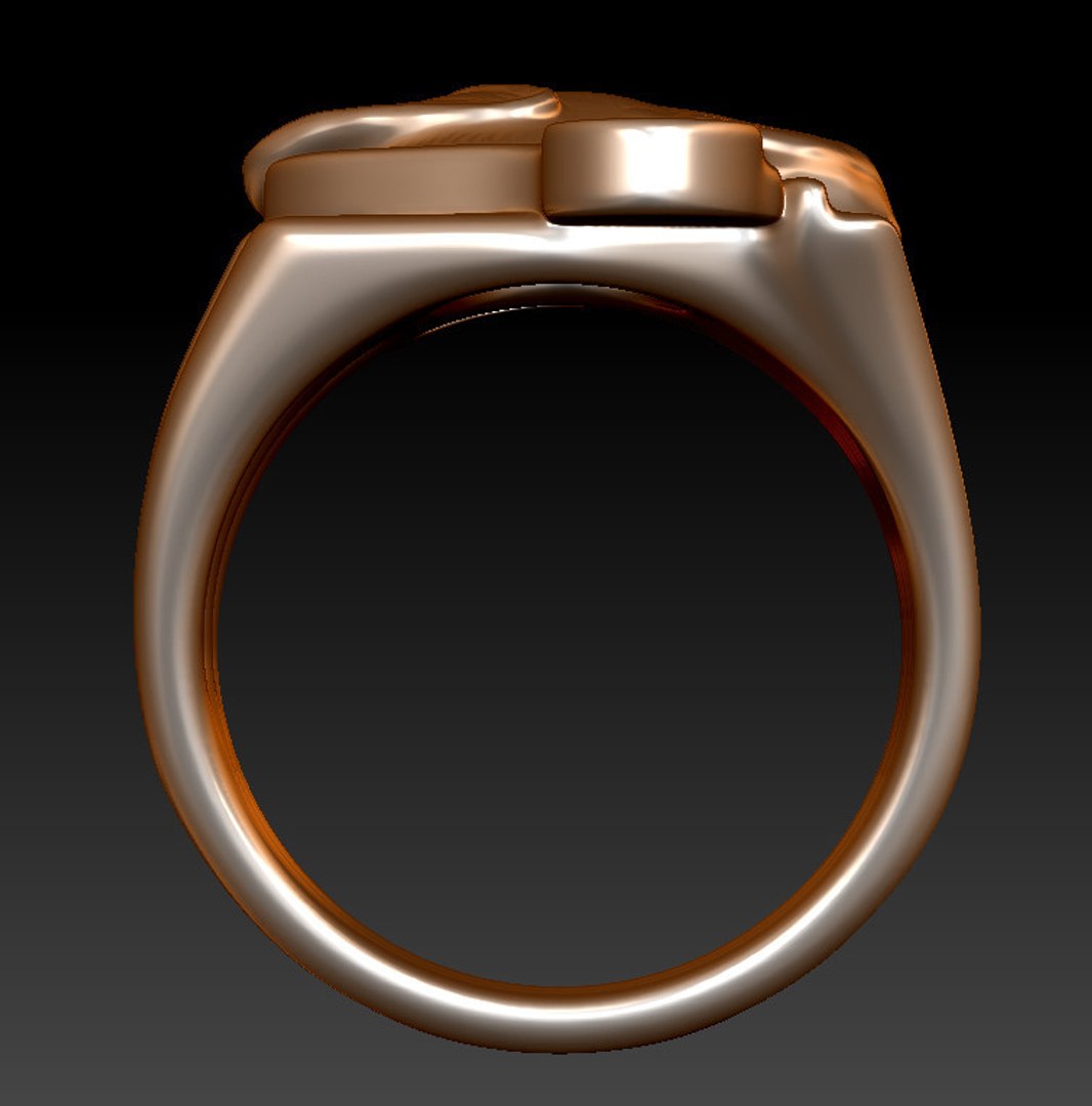 3D labrador ring https://p.turbosquid.com/ts-thumb/Kk/5i2rzH/CsLORgf9/labradorring_preview_2/jpg/1536832091/1920x1080/fit_q87/072b89c10c905fc0abb41b6c750e2714f816cafc/labradorring_preview_2.jpg