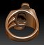 Labrador Dog Ring