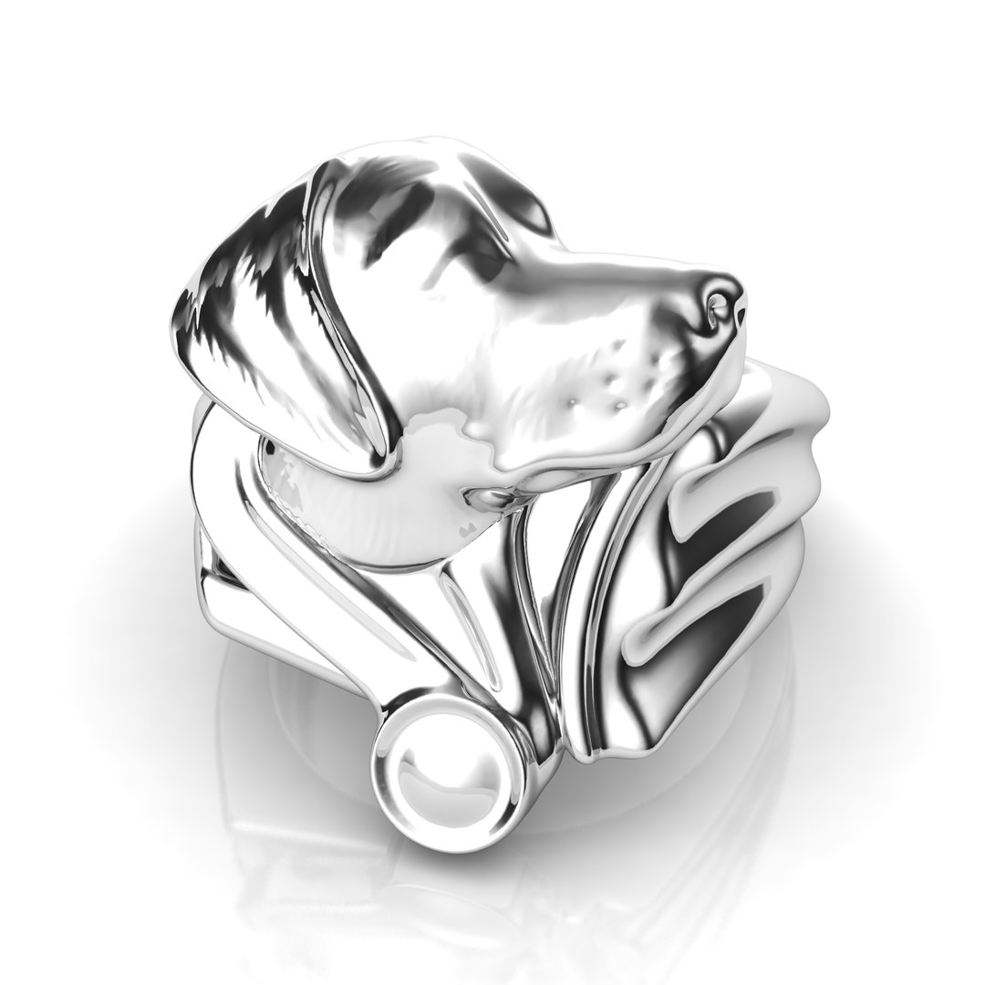 3D labrador ring https://p.turbosquid.com/ts-thumb/Kk/5i2rzH/cRdMUXLb/labradorring_w_11/png/1536832091/1920x1080/fit_q87/c73b28cddb16c2f9082fba8b5e772e395a0069c9/labradorring_w_11.jpg
