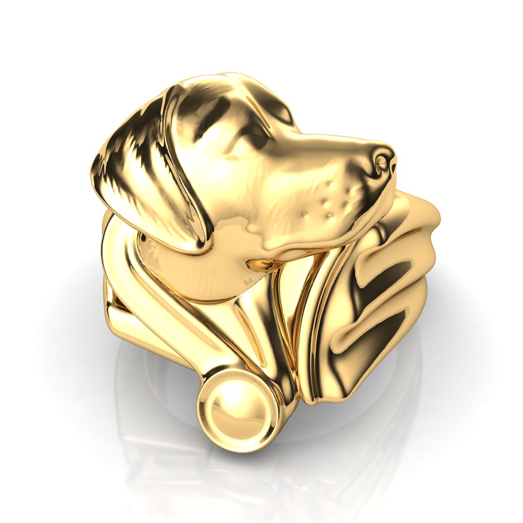 3D Labrador Ring - TurboSquid 1326800