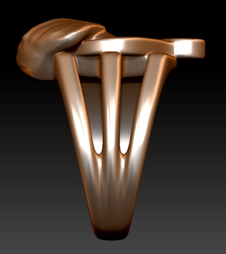 3D labrador ring https://p.turbosquid.com/ts-thumb/Kk/5i2rzH/yc9J6Bkm/labradorring_preview_3/jpg/1536832091/1920x1080/fit_q87/1f1a29e173d65a14c9b1a748c864aaf09c25db71/labradorring_preview_3.jpg