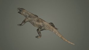 3D reptile lizard nature dinosaur animal wildlife animals