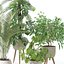 20 Photorealistic Flowers for Interiors - set 121 128 134 141