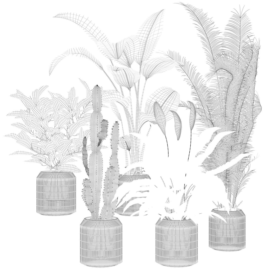 20 Photorealistic Flowers for Interiors - set 121 128 134 141 3D model https://p.turbosquid.com/ts-thumb/Kk/crizFh/EP/11/jpg/1666175891/1920x1080/fit_q87/a0294789e11b7dc6480226da1153cd234396e792/11.jpg